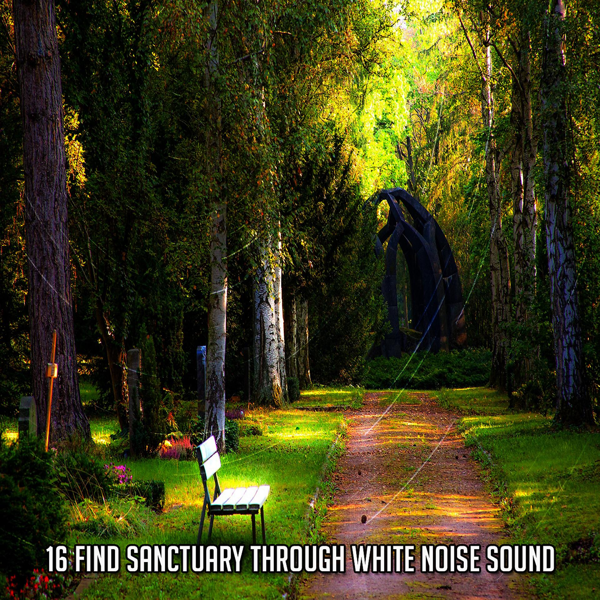 Постер альбома 16 Найдите убежище через звук белого шума