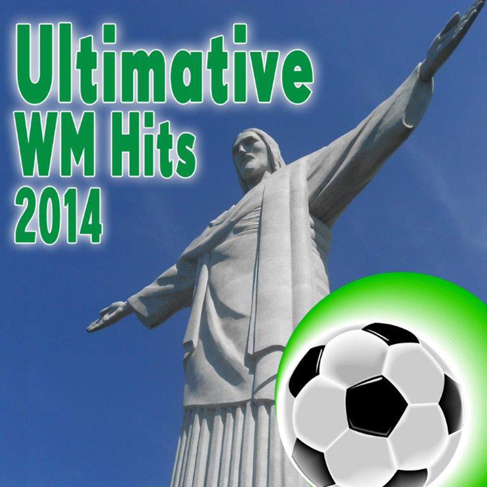 Постер альбома Ultimative WM Hits 2014