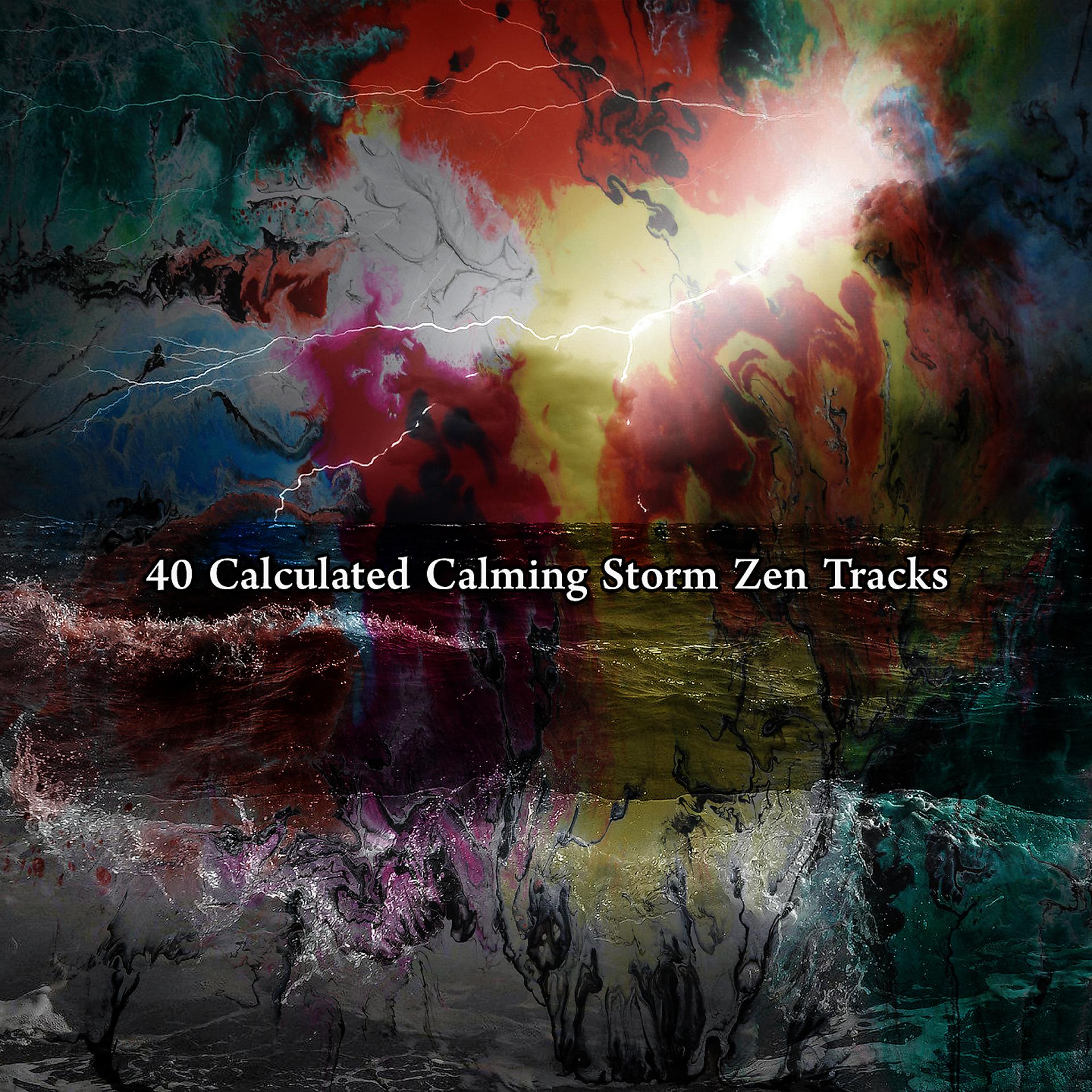 Постер альбома 40 рассчитанных треков Calming Storm Zen