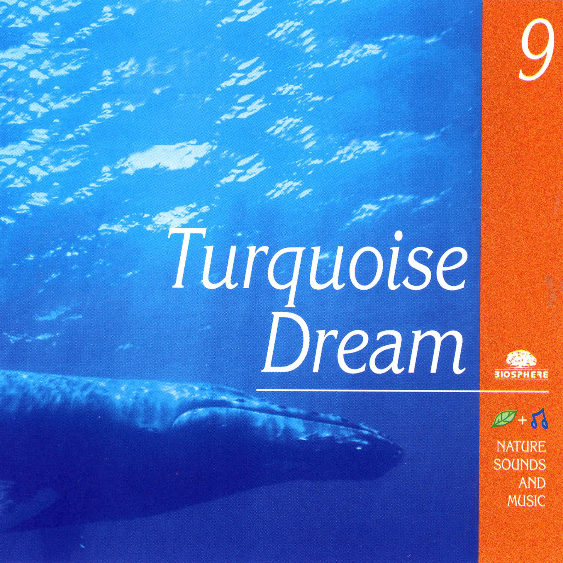 Постер альбома Turquoise Dream (Songe Turquoise)