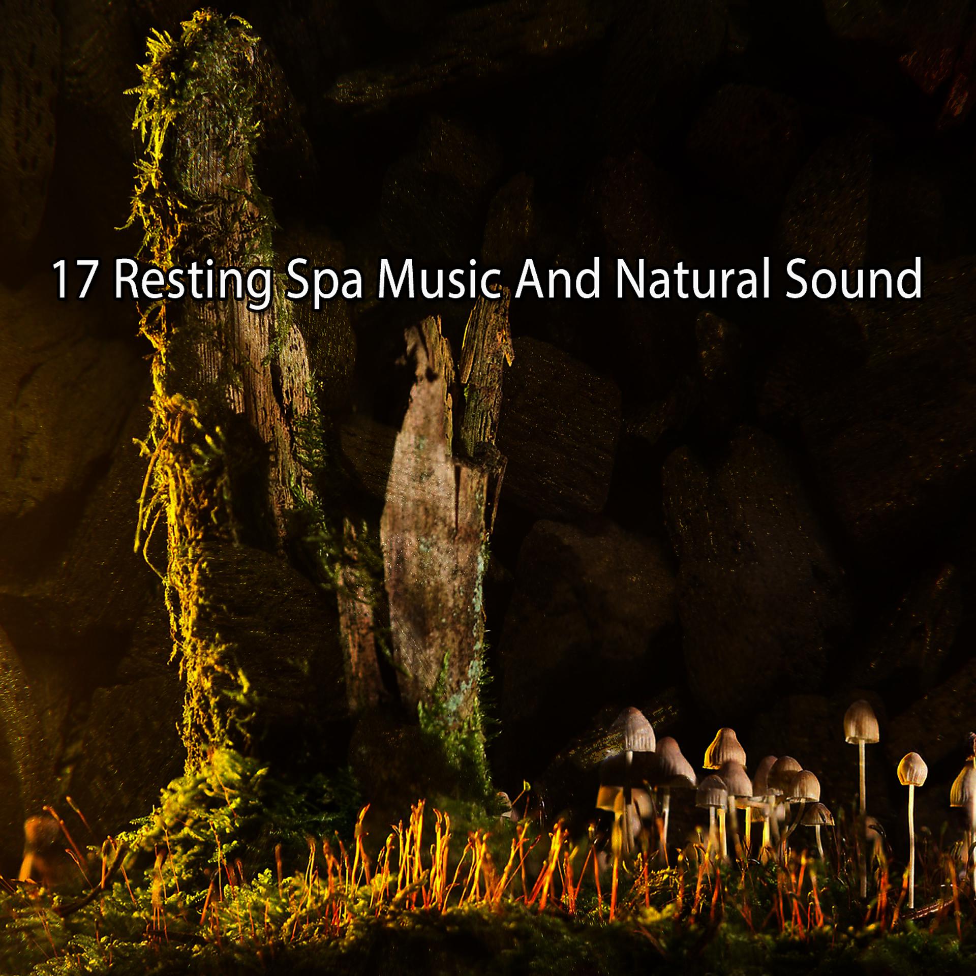 Постер альбома 17 Спа-музыка для отдыха и естественный звук