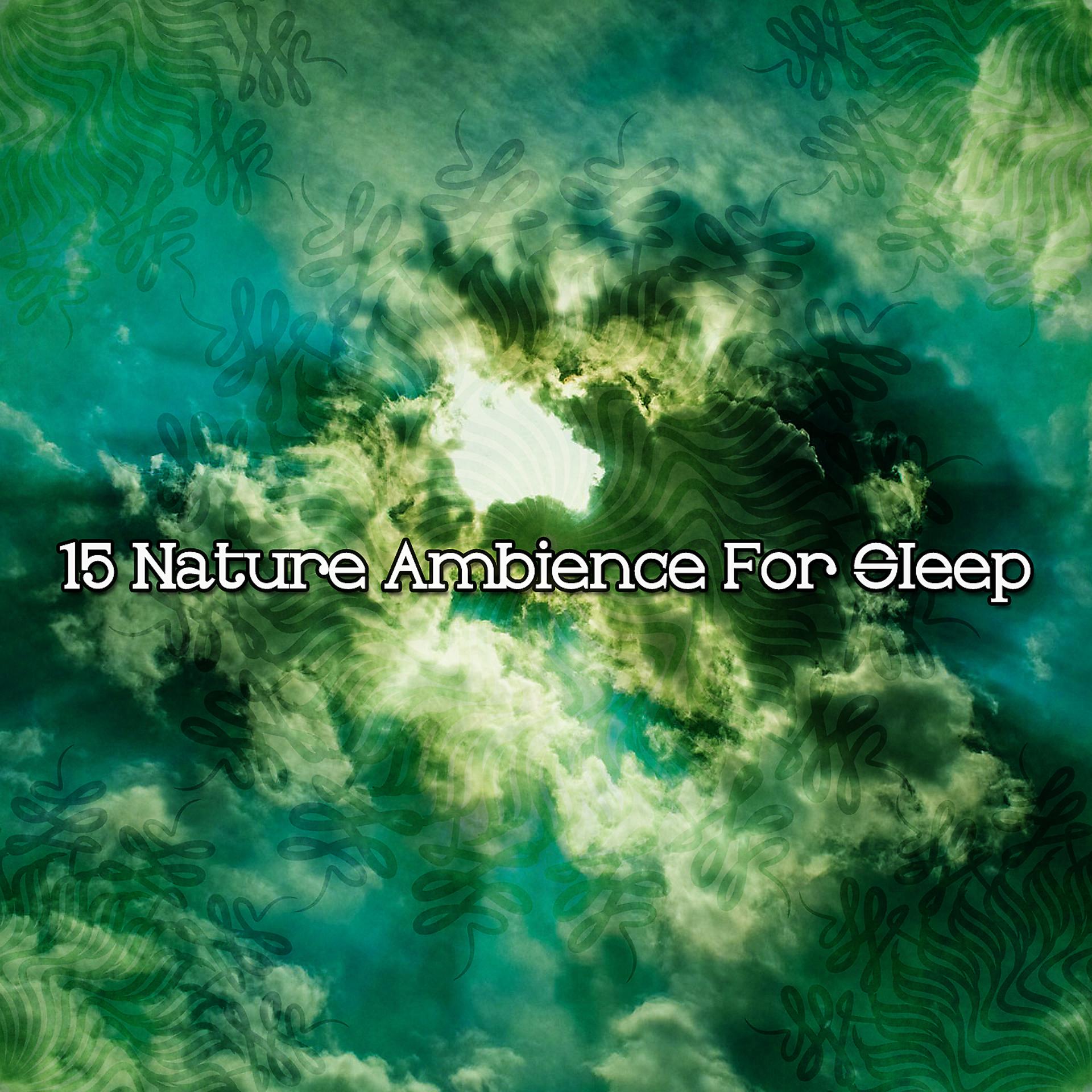 Постер альбома 15. Атмосфера природы для сна