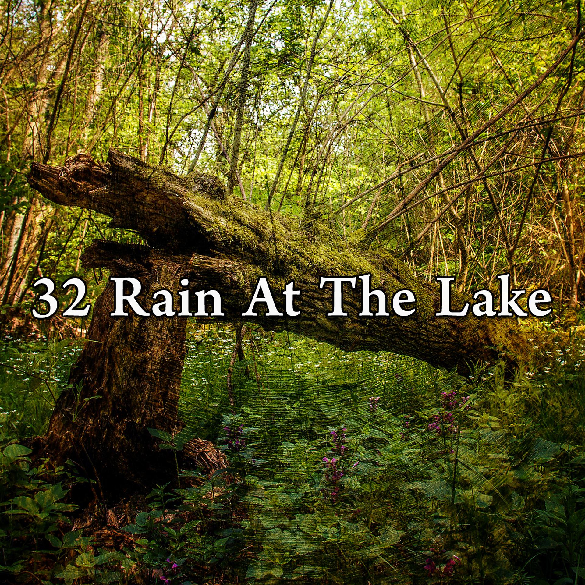Постер альбома 32 Дождь на озере