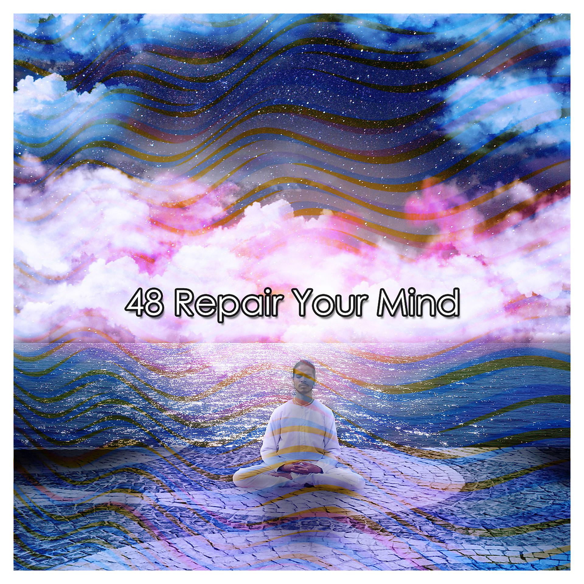 Постер альбома 48 Восстановить свой разум