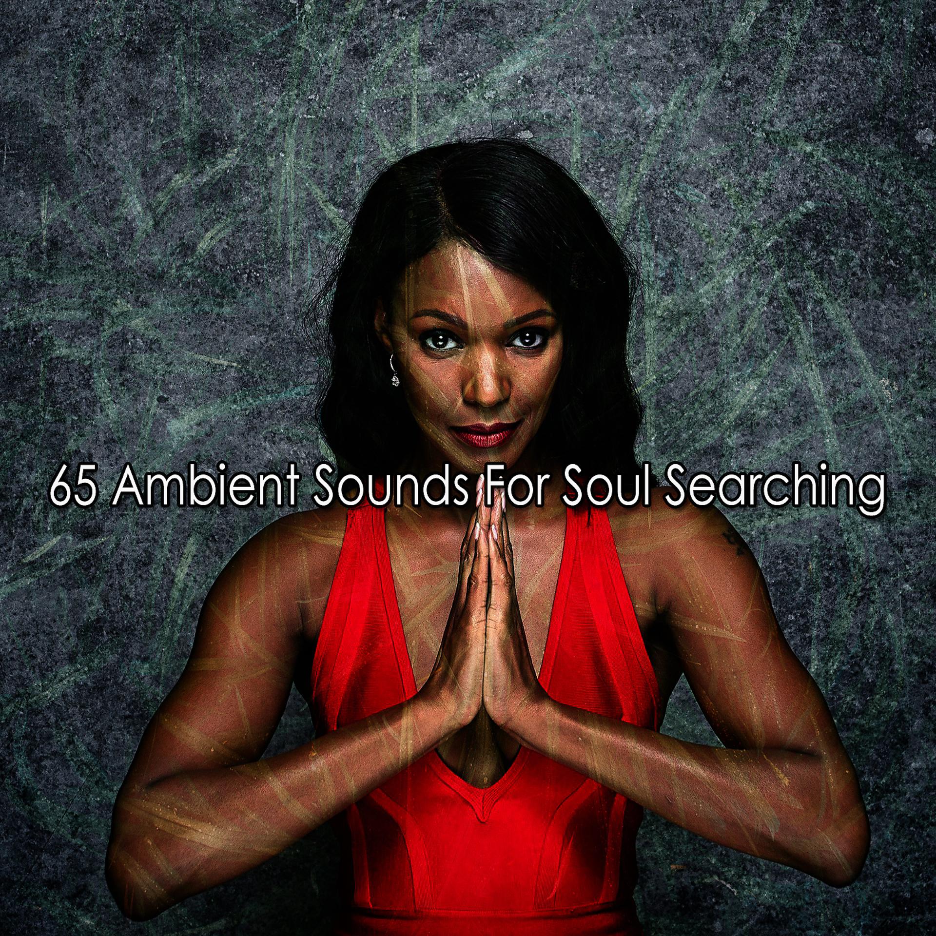 Постер альбома 65 звуков окружающего мира для поиска души