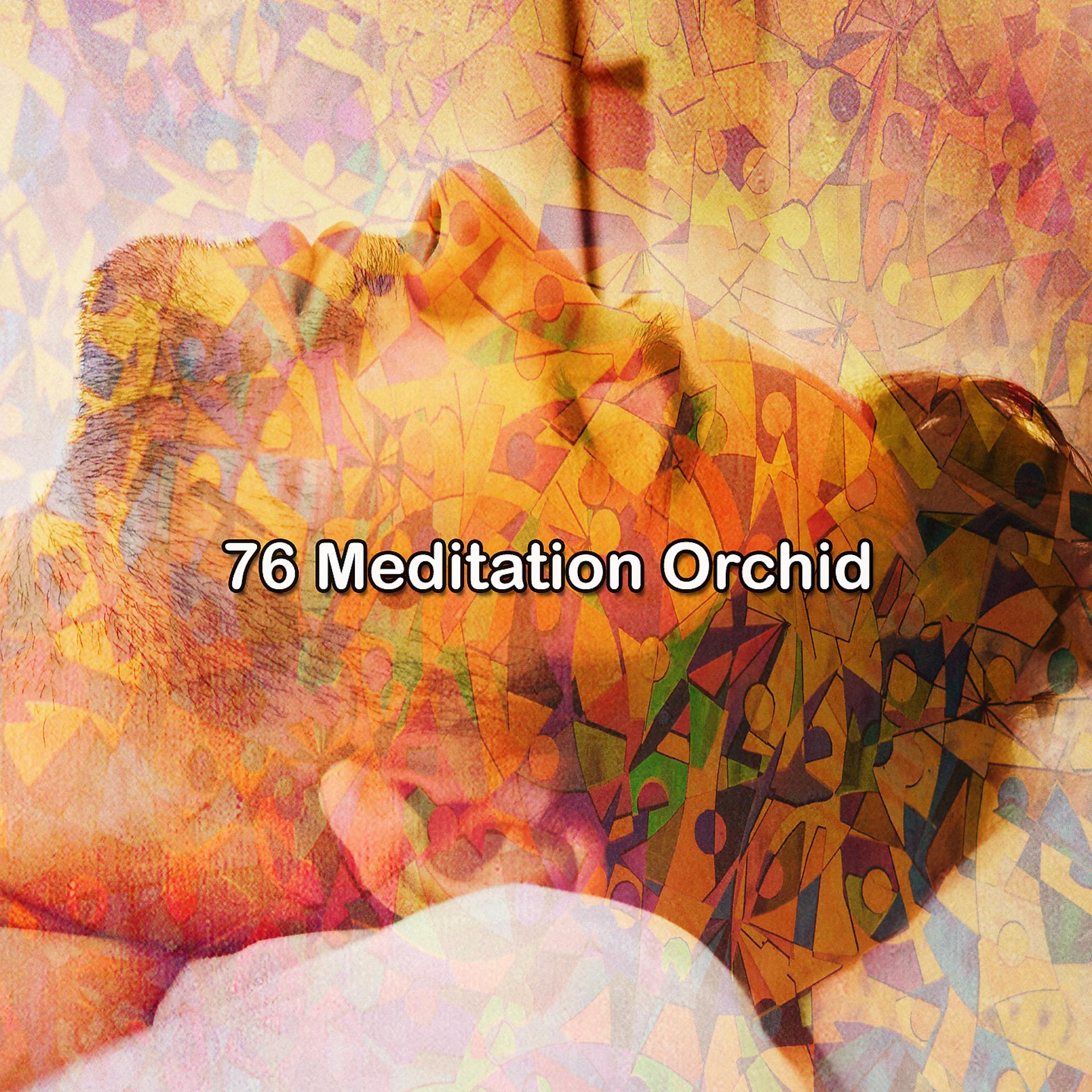 Постер альбома !!!! 76 Медитация Орхидея!!!!