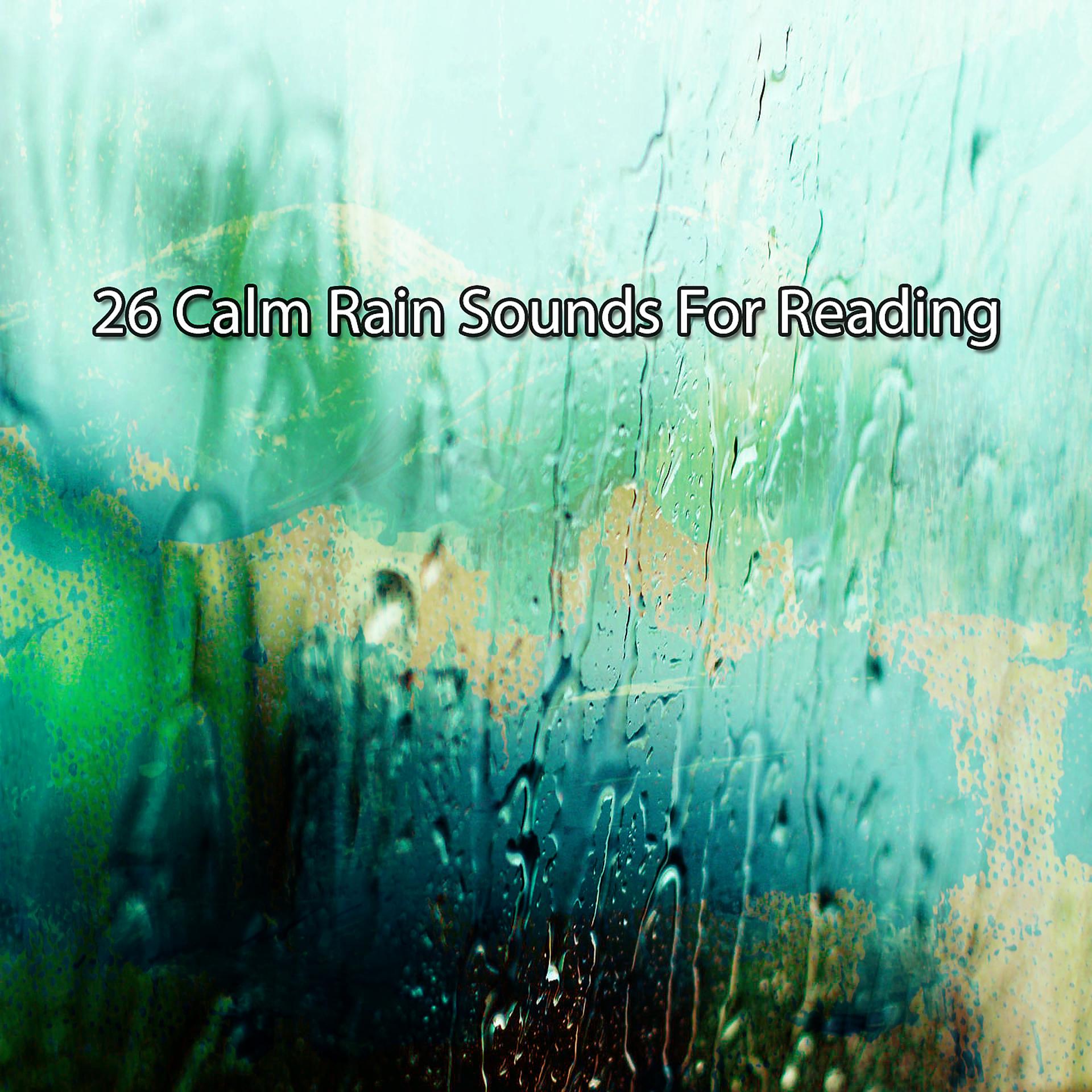 Постер альбома 26 звуков тихого дождя для чтения