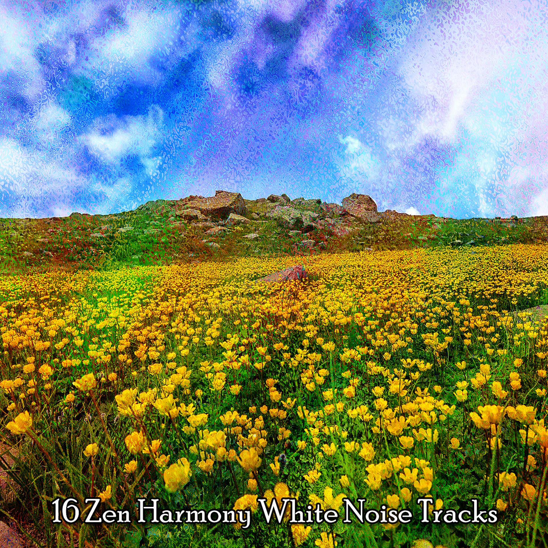 Постер альбома 16 дорожек белого шума Zen Harmony