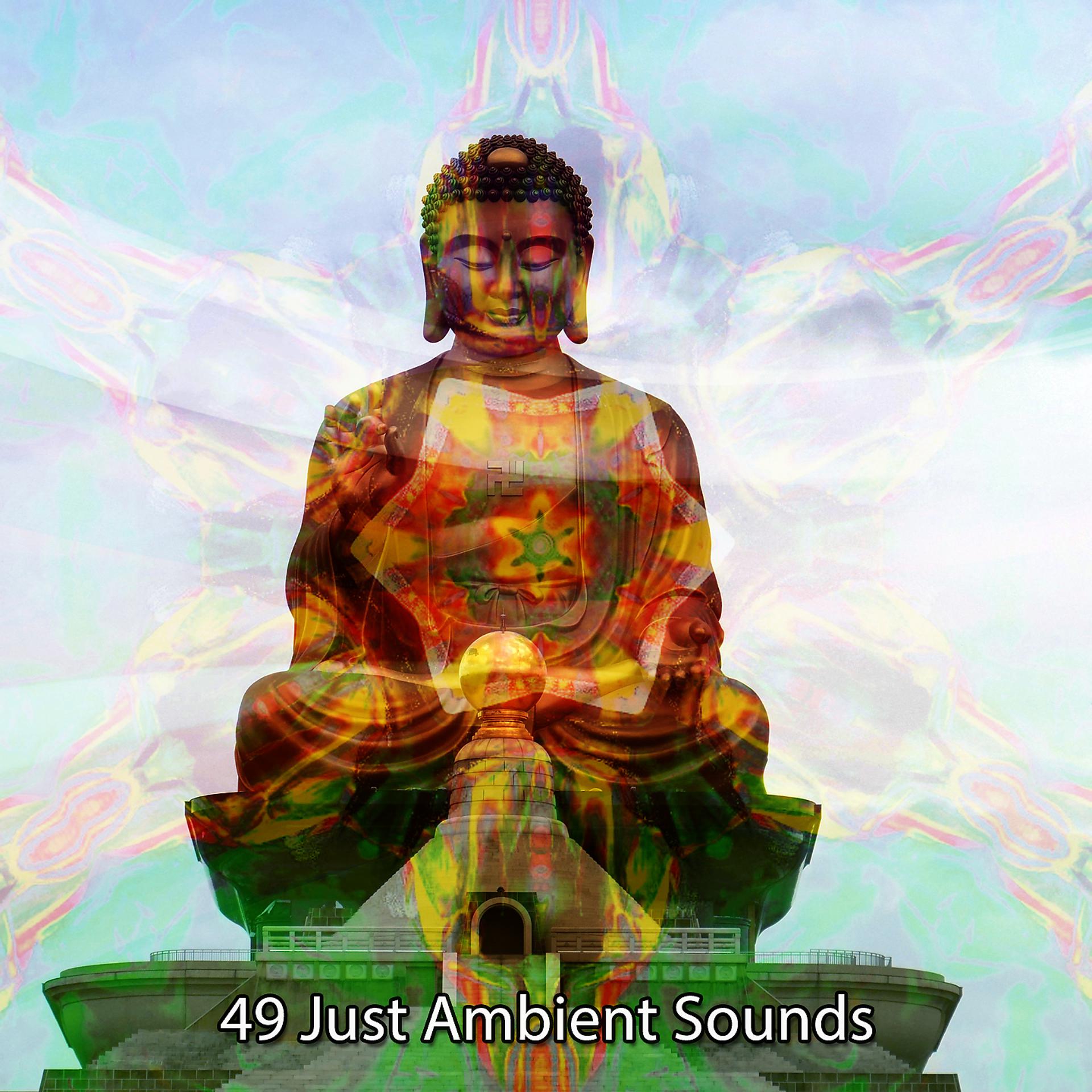 Постер альбома 49 Просто окружающие звуки