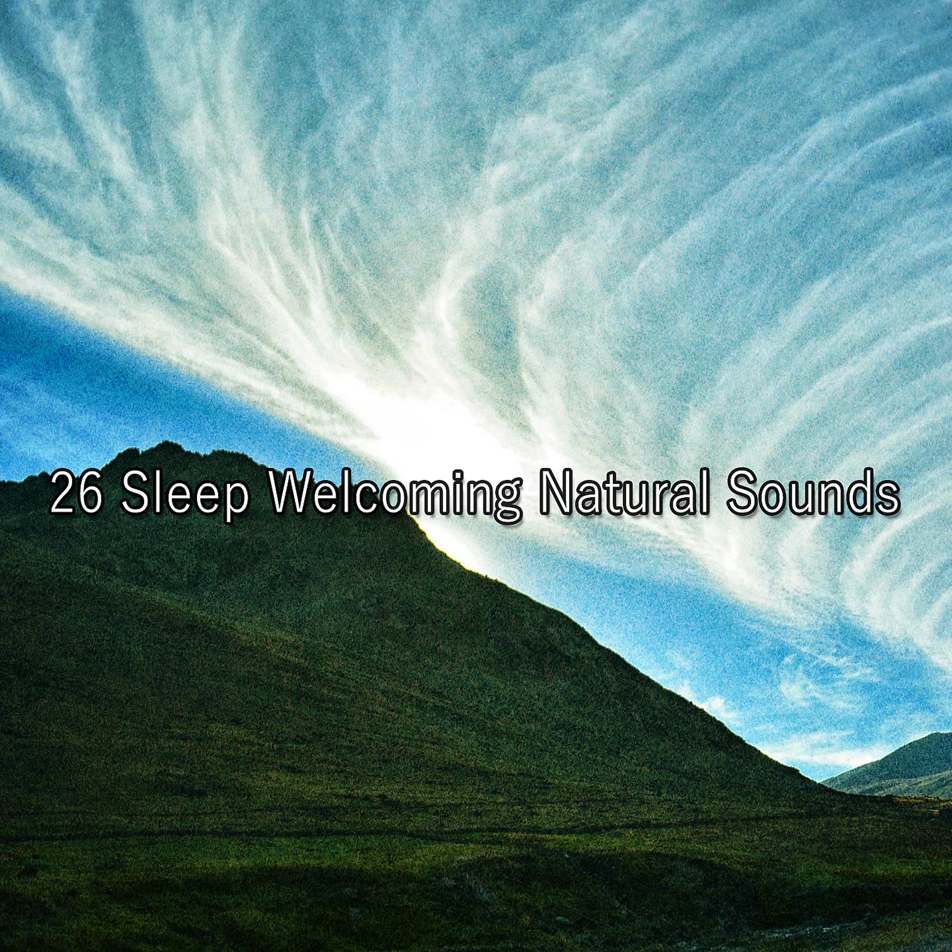 Постер альбома 26 звуков природы, приветствующих сон