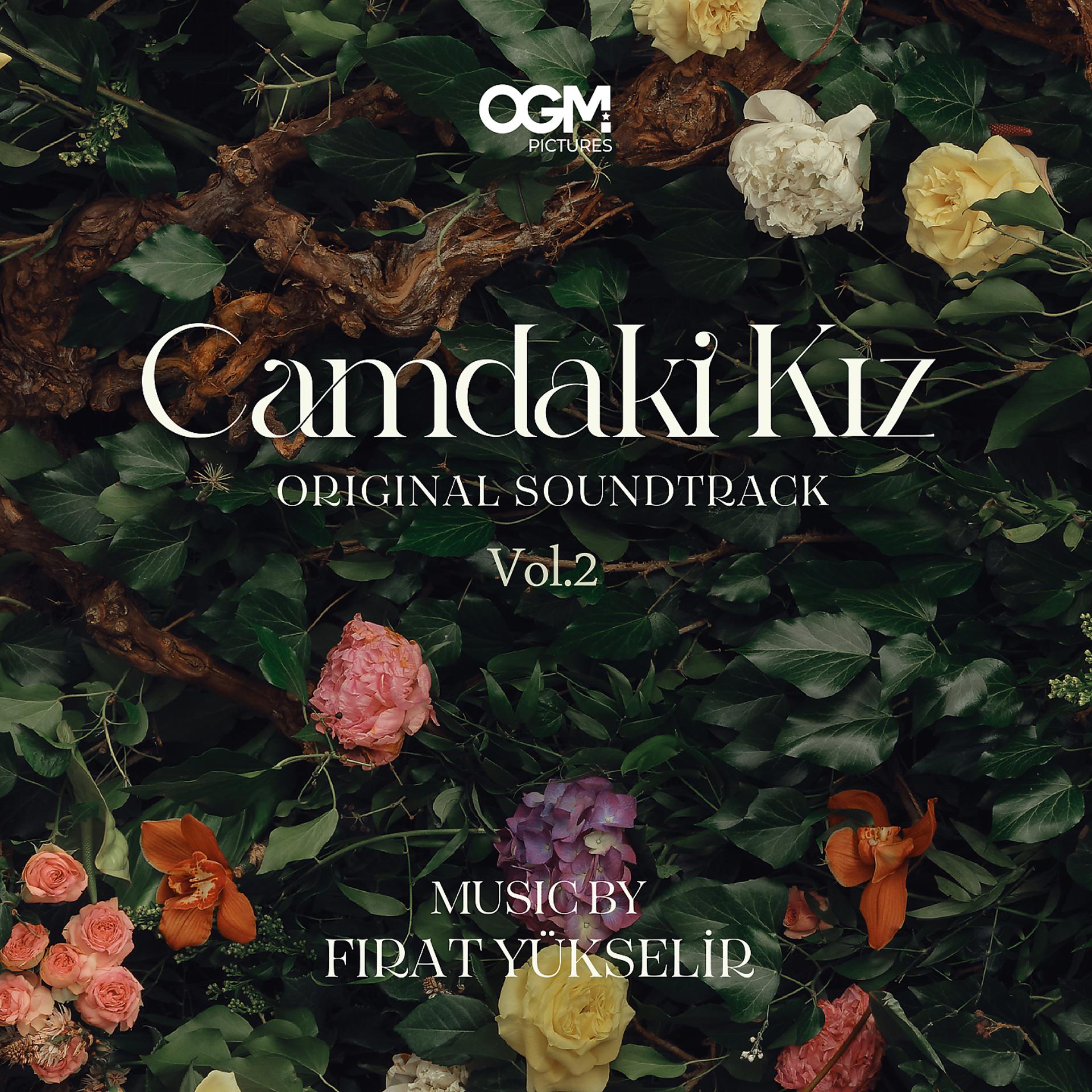Постер альбома Camdaki Kız, Vol. 2
