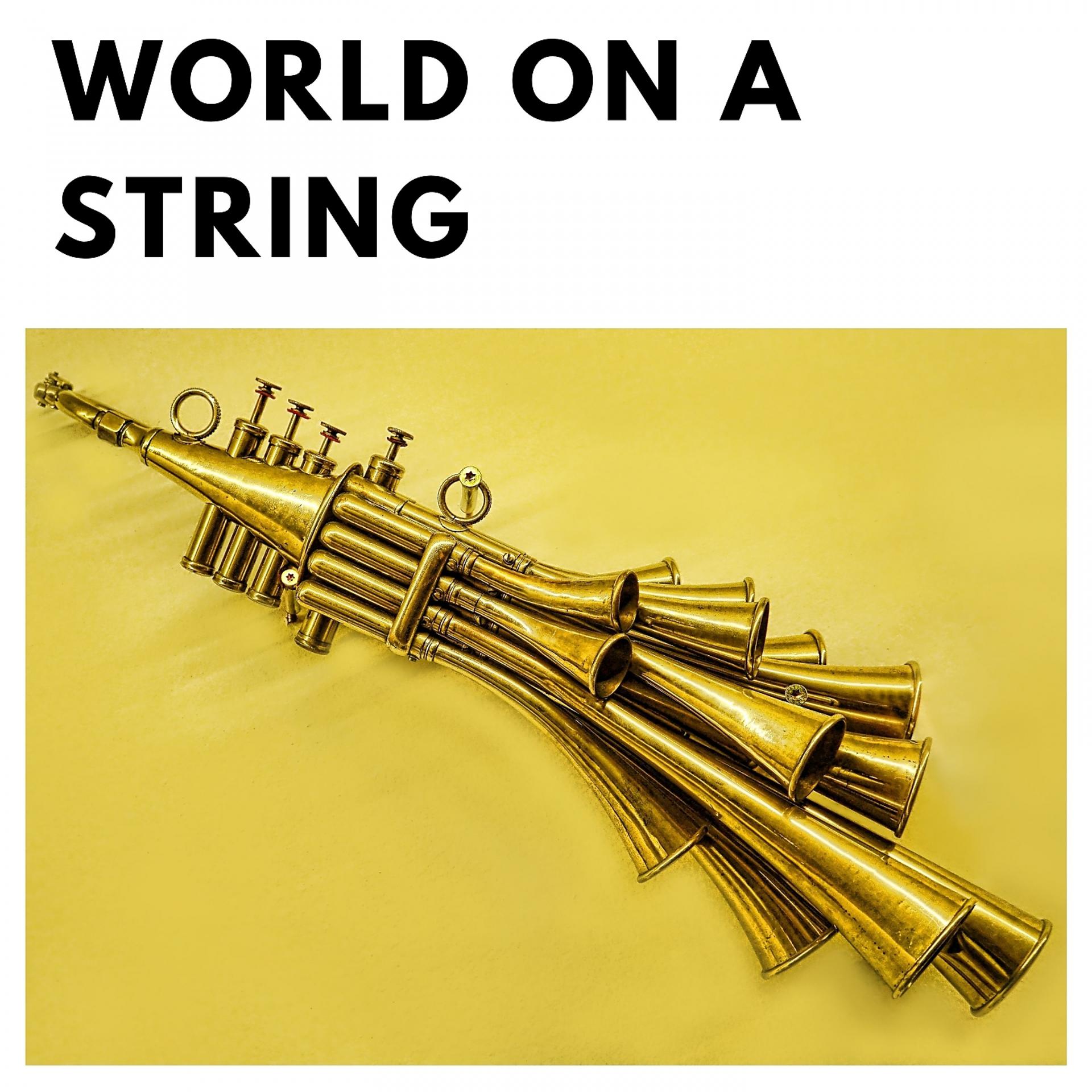 Постер альбома World On a String
