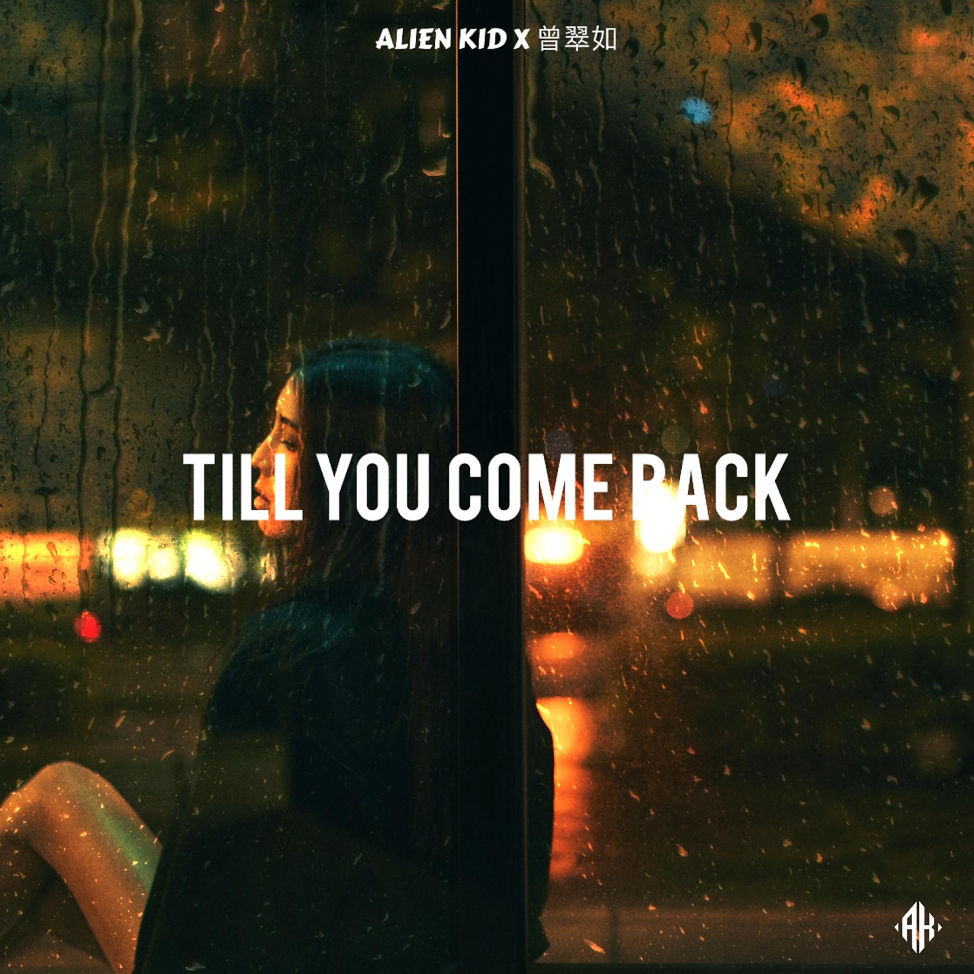 Постер альбома Till You Come Back