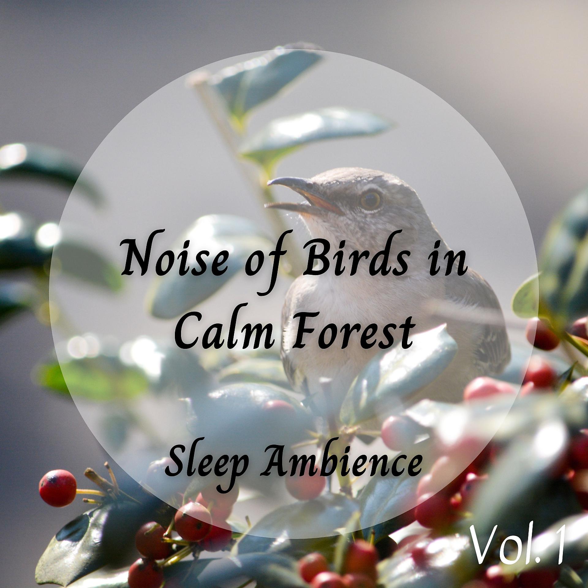 Постер альбома Sleep Ambience: Noise of Birds in Calm Forest Vol. 1