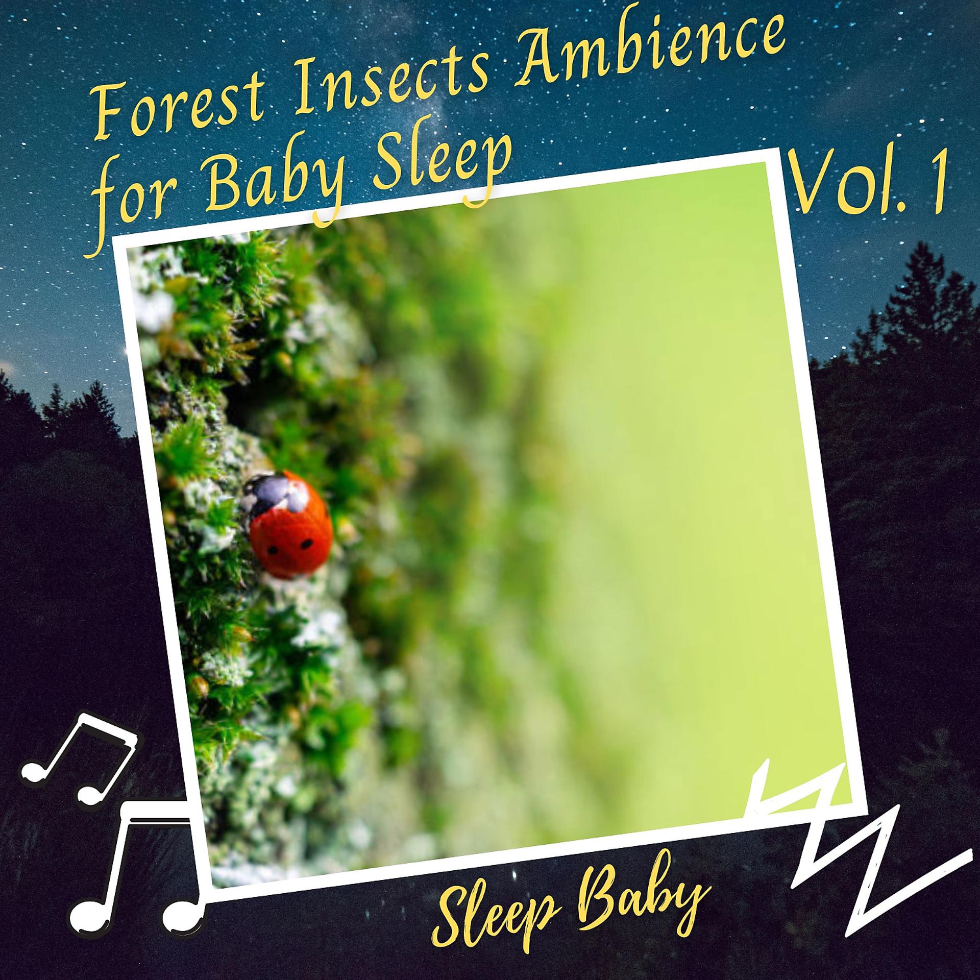 Постер альбома Sleep Baby: Forest Insects Ambience for Baby Sleep Vol. 1