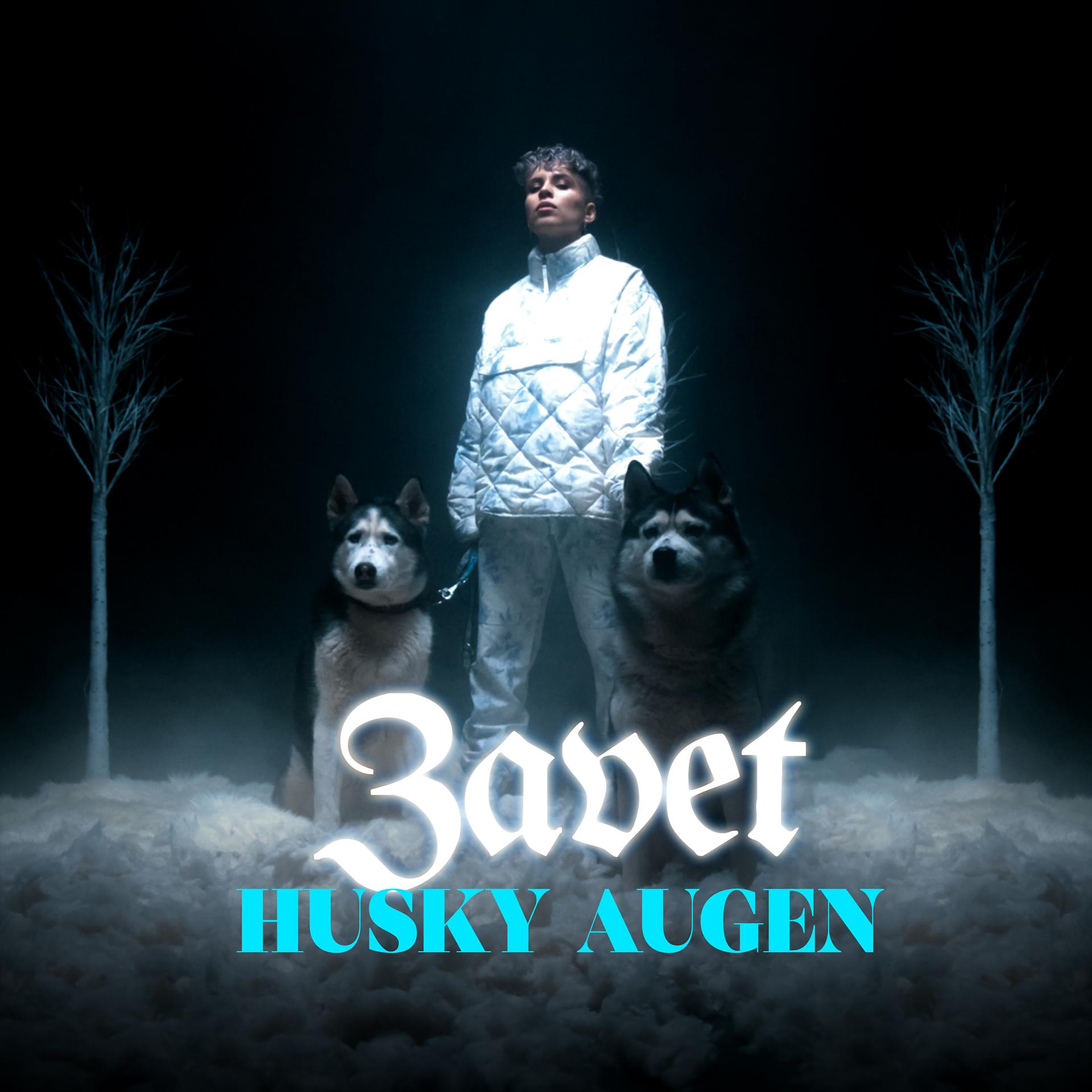 Постер альбома Husky Augen