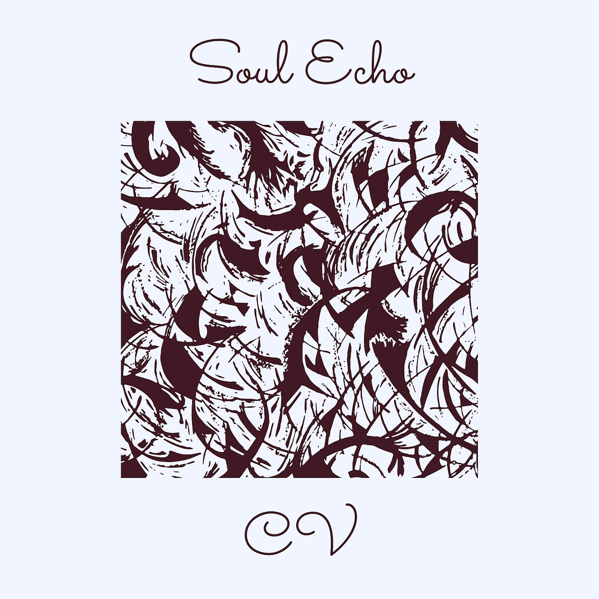 Постер альбома Soul Echo