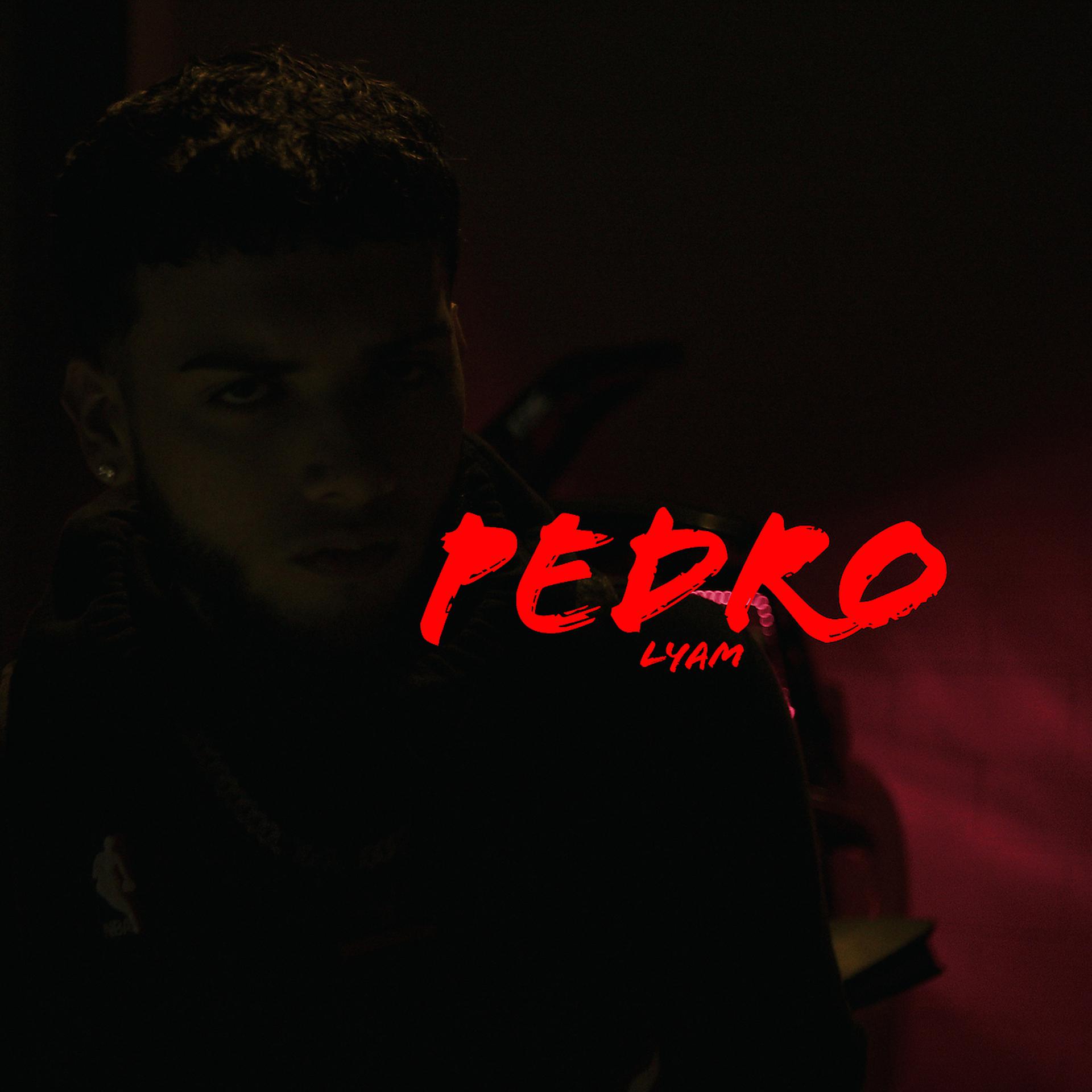 Постер альбома Pedro
