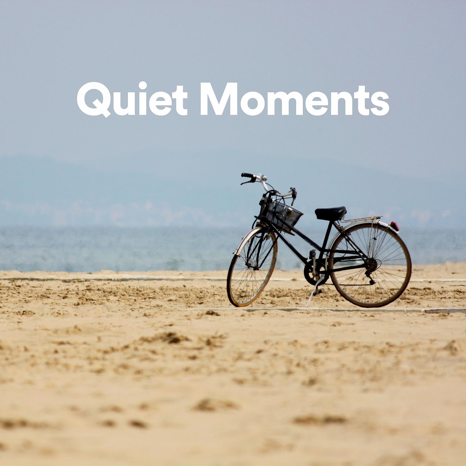 Постер альбома Quiet Moments