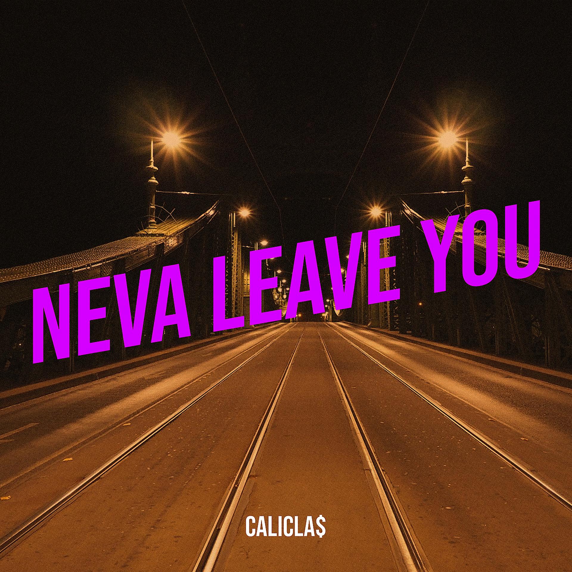 Постер альбома Neva Leave You