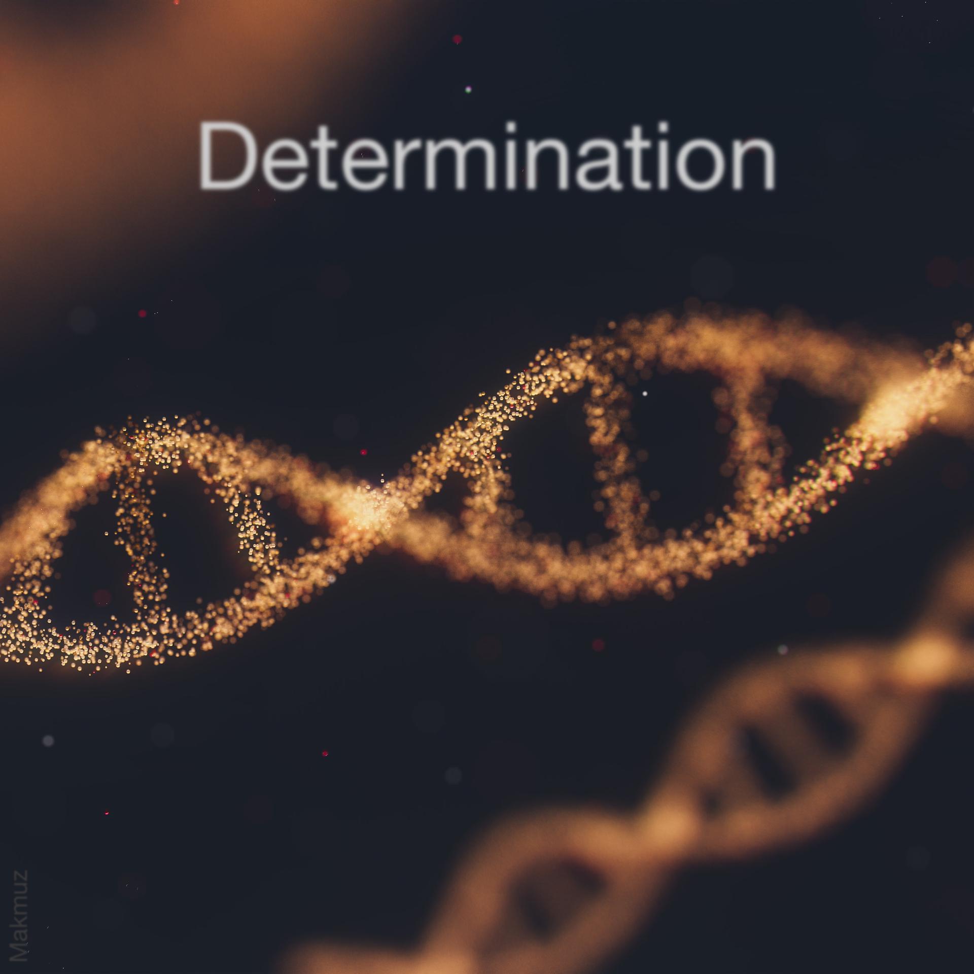 Постер альбома Determination
