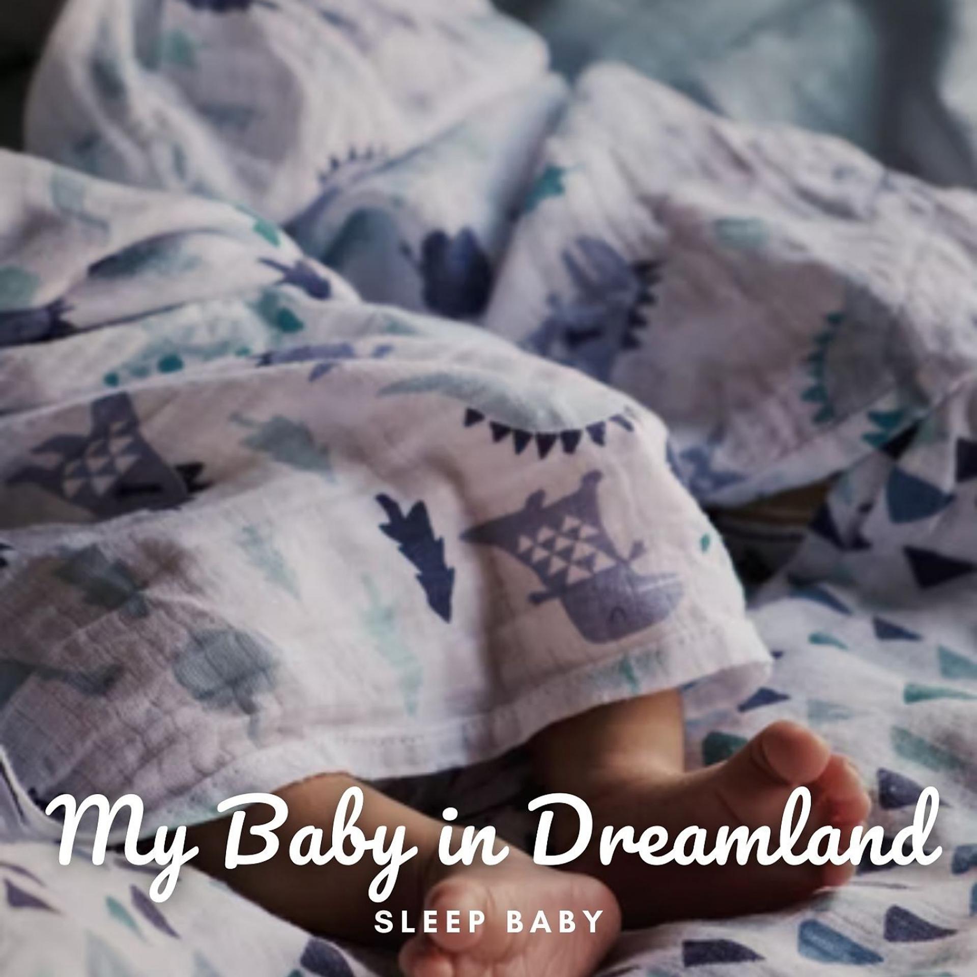Постер альбома Sleep Baby: My Baby in Dreamland