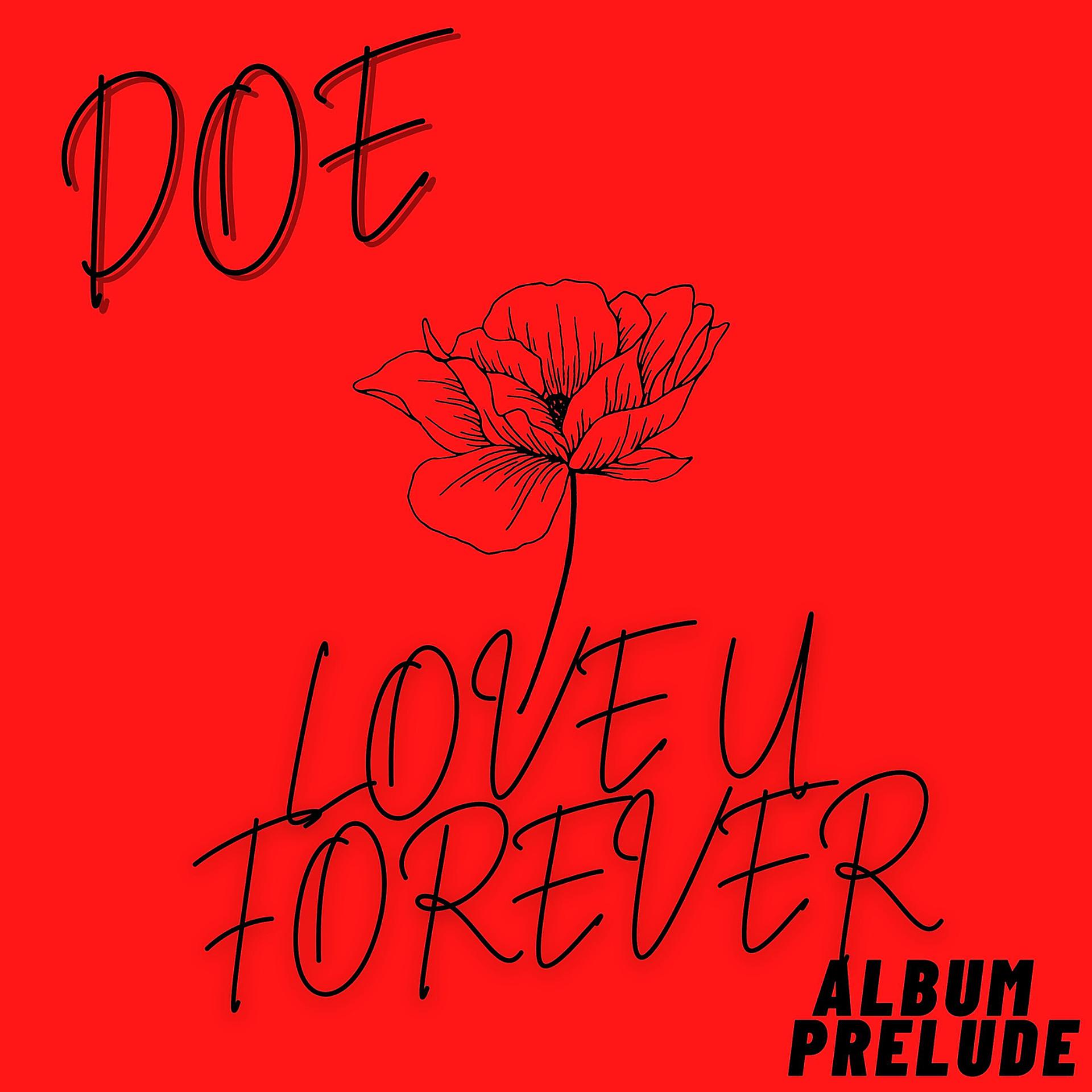 Постер альбома Love U Forever (Album Prelude)