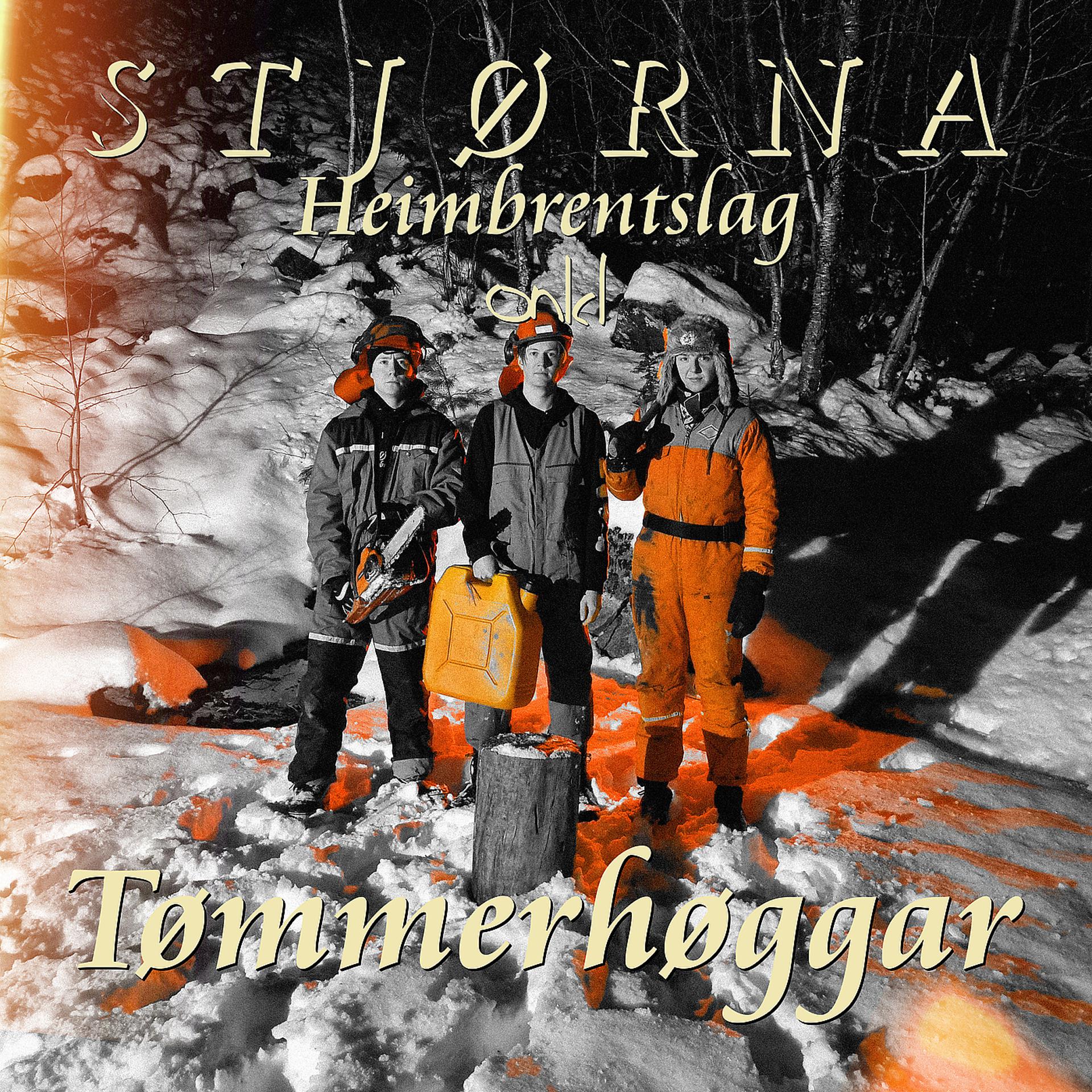 Постер альбома Tømmerhøggar