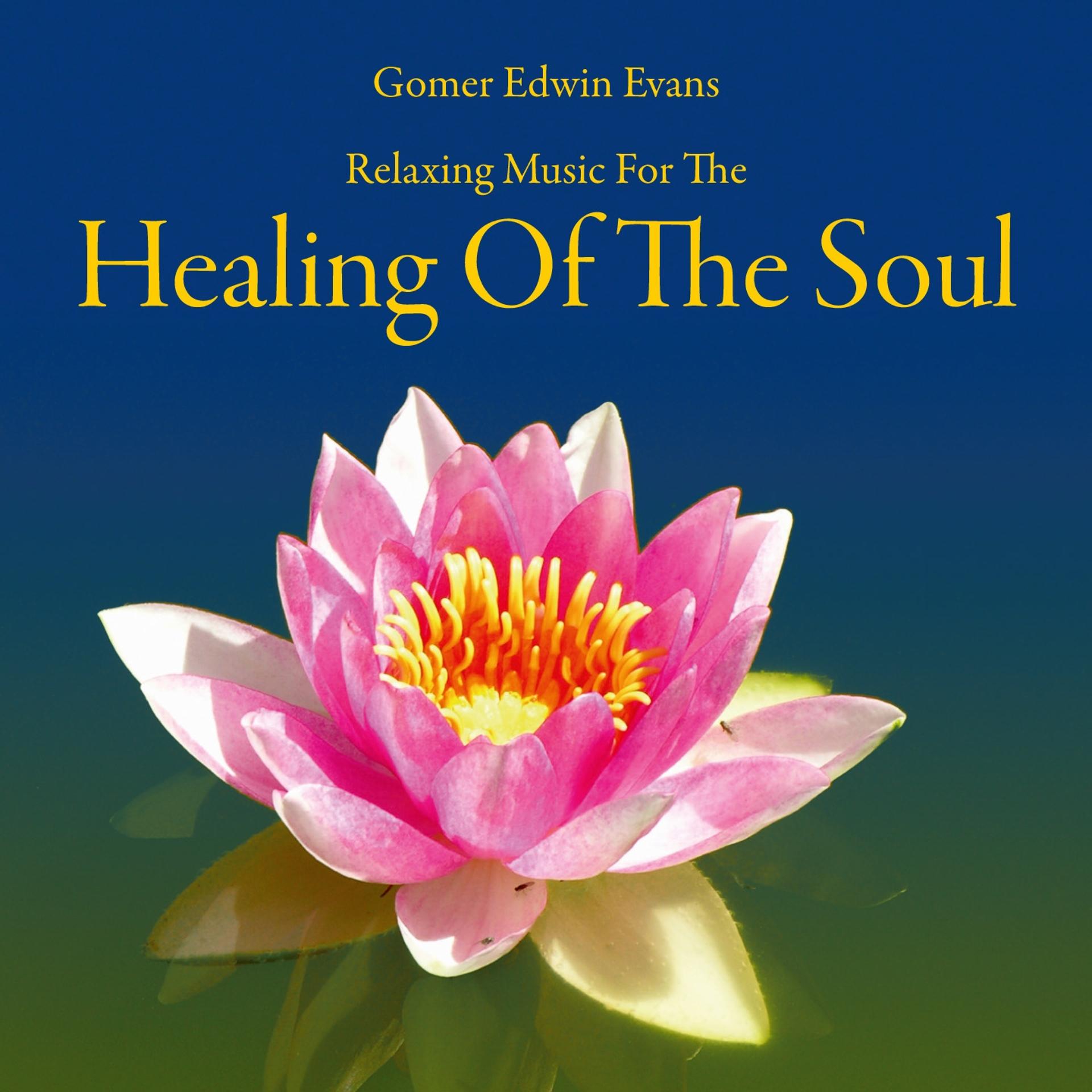 Постер альбома Healing of the Soul: Music for Recreation