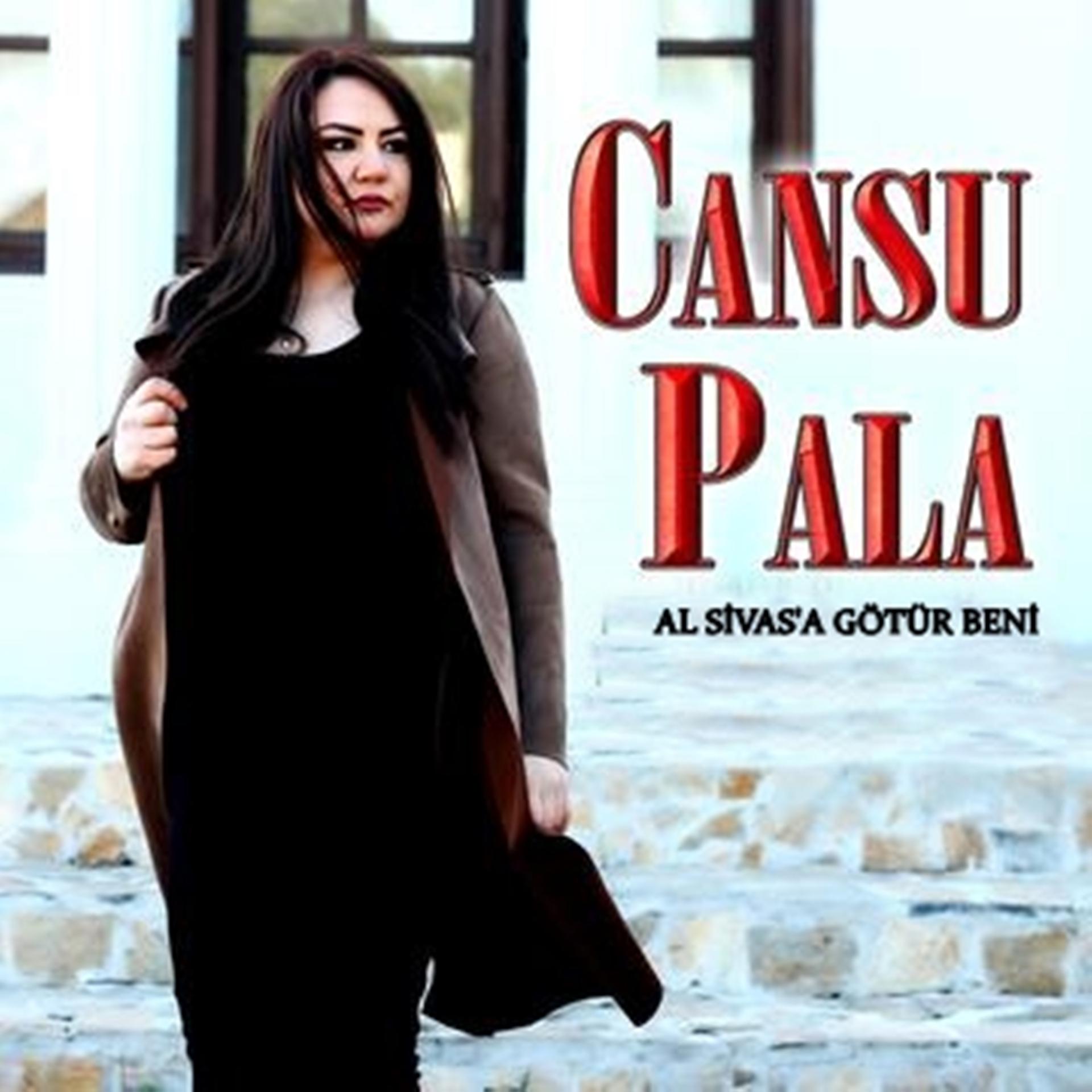 Постер альбома Al Sivas'a Götür Beni