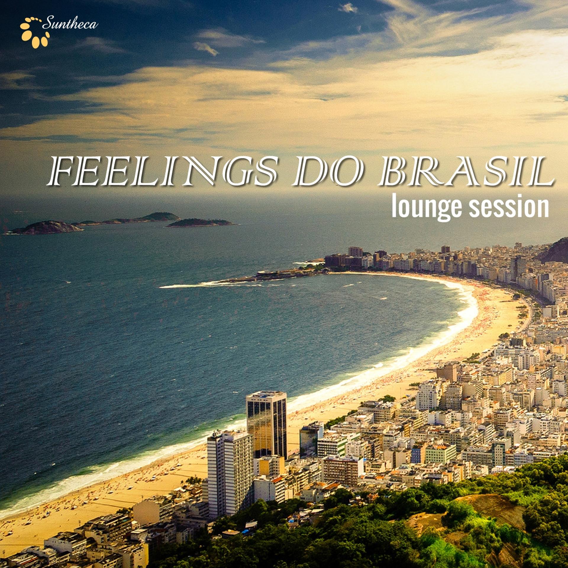 Постер альбома Feelings Do Brasil Lounge Session