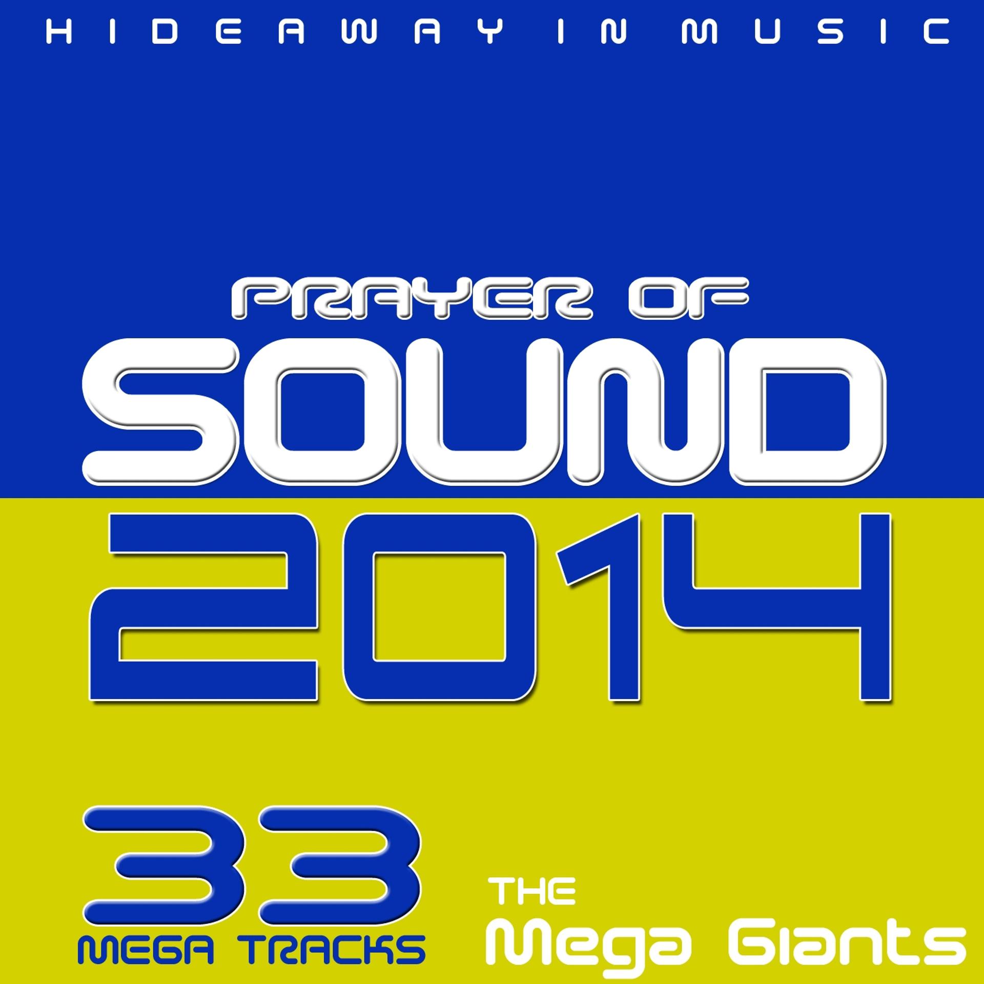 Постер альбома Prayer of Sound 2014