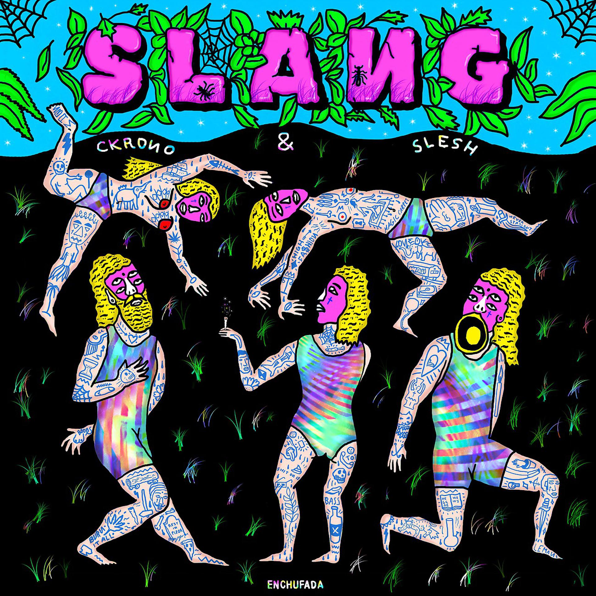 Постер альбома Slang