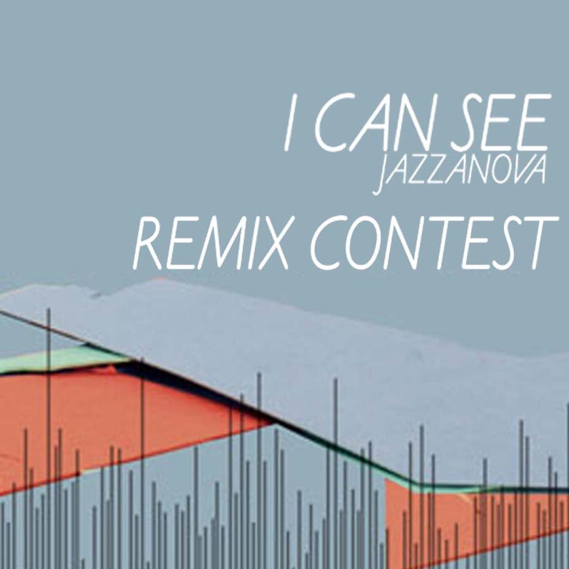 Постер альбома I Can See Remix Contest