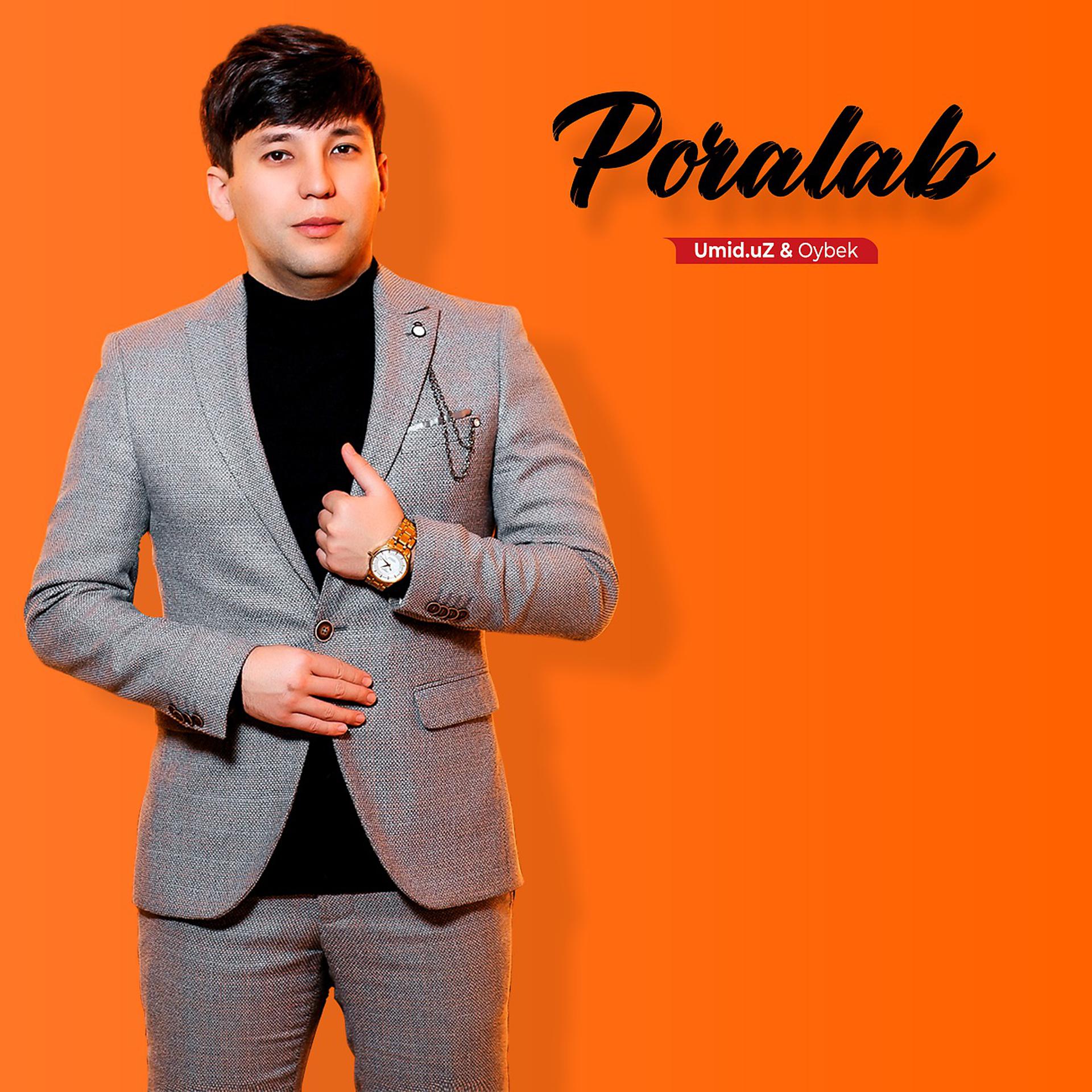 Постер альбома Poralab