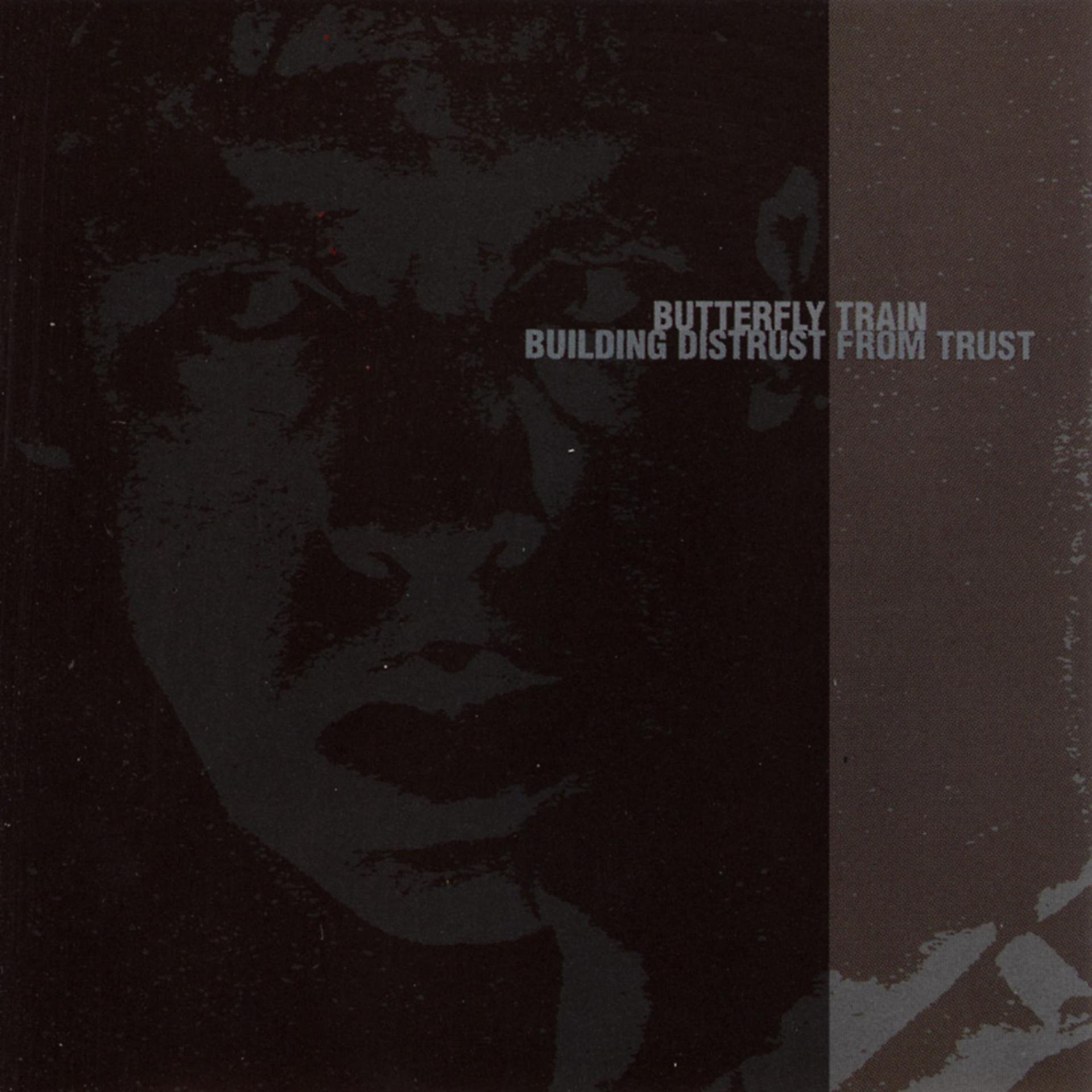 Постер альбома Building Distrust from Trust
