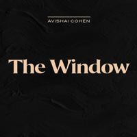 Постер альбома The Window