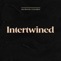 Постер альбома Intertwined