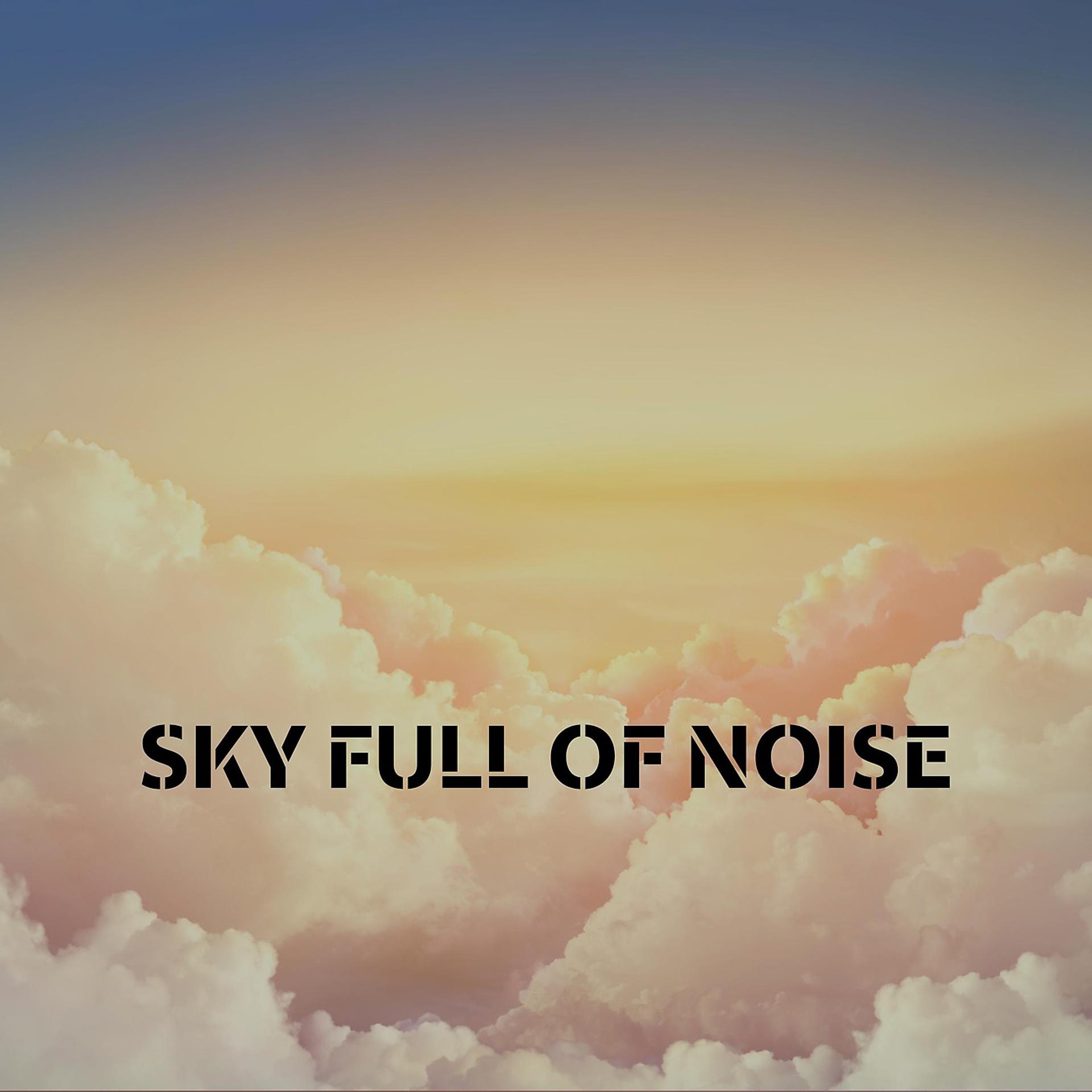 Постер альбома Sky Full Of Noise