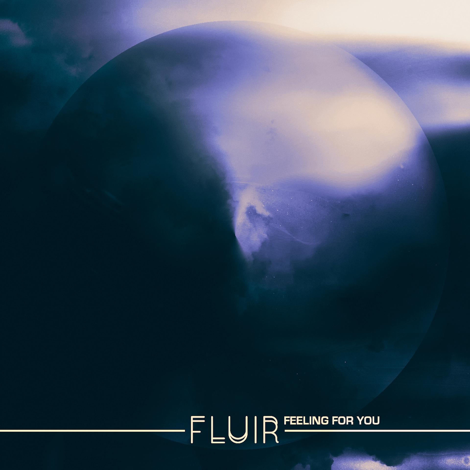 Постер альбома Feeling For You (The Remixes)