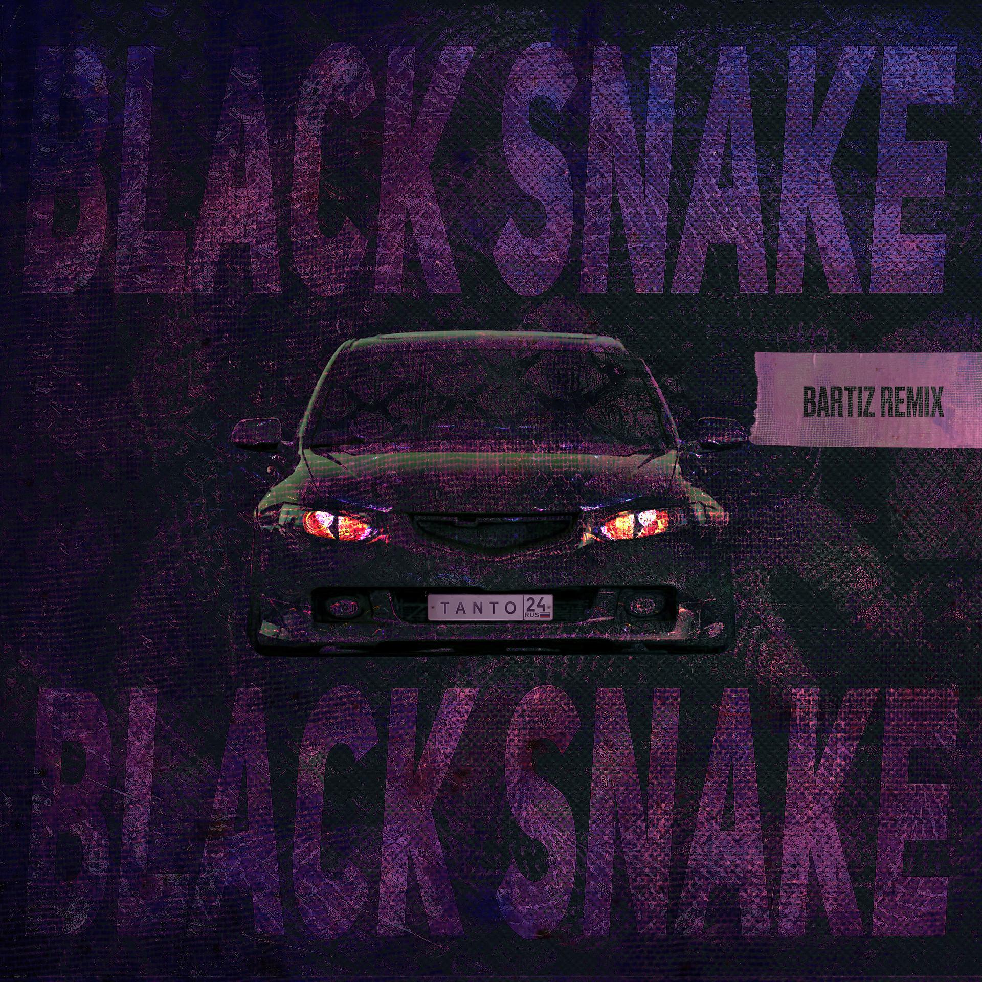 Постер альбома Black Snake (BartiZ Remix)