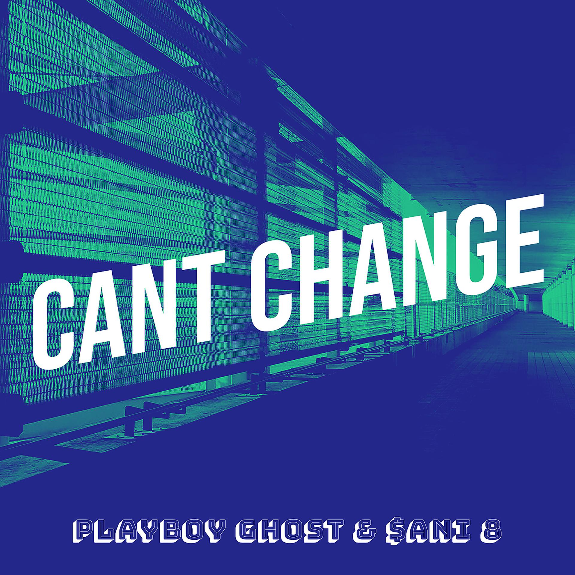Постер альбома Cant Change