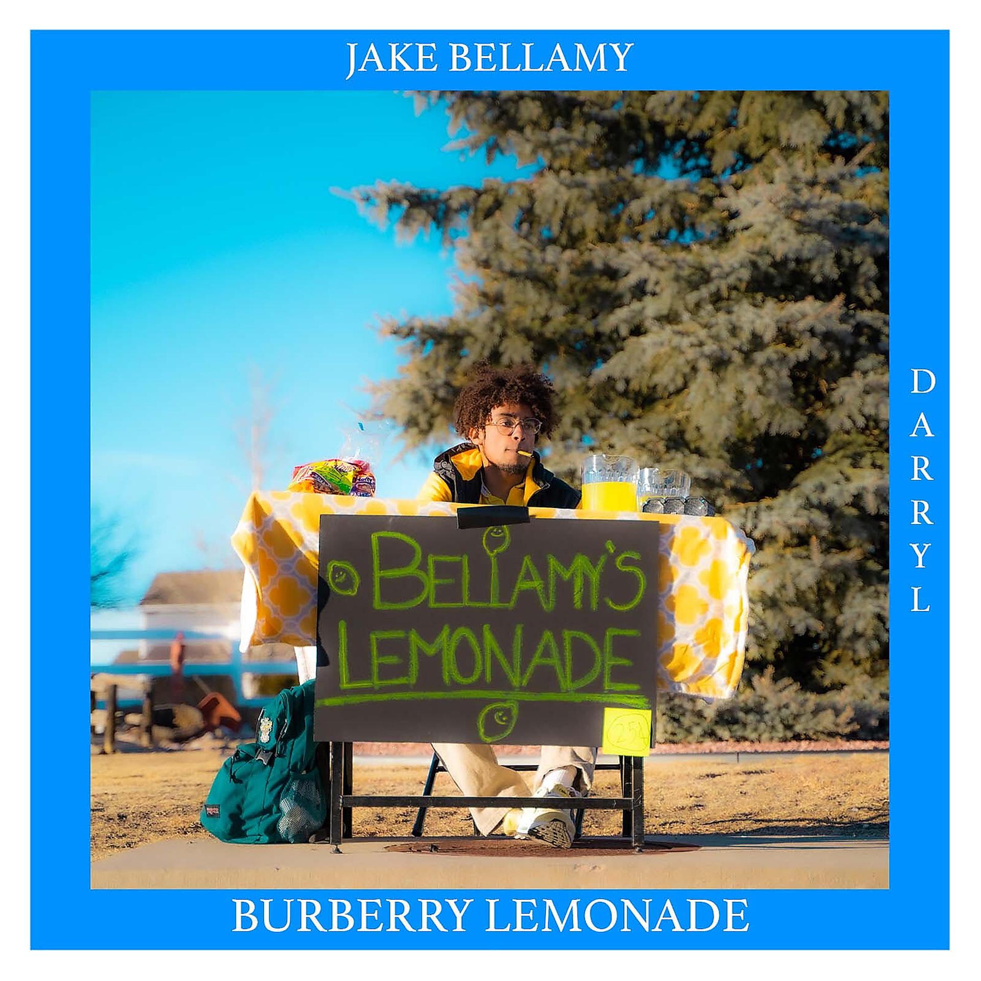 Постер альбома Burberry Lemonade