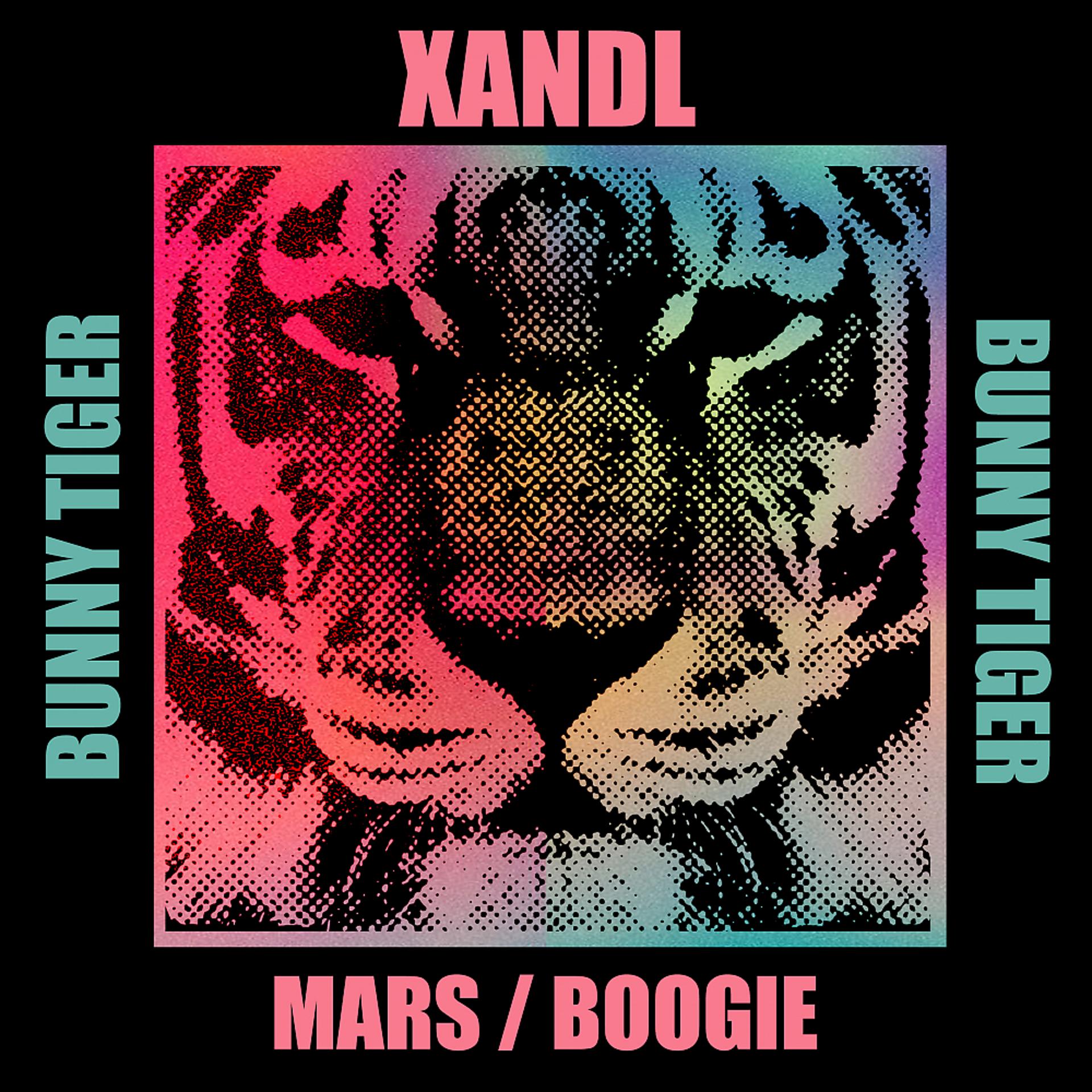 Постер альбома Mars / Boogie