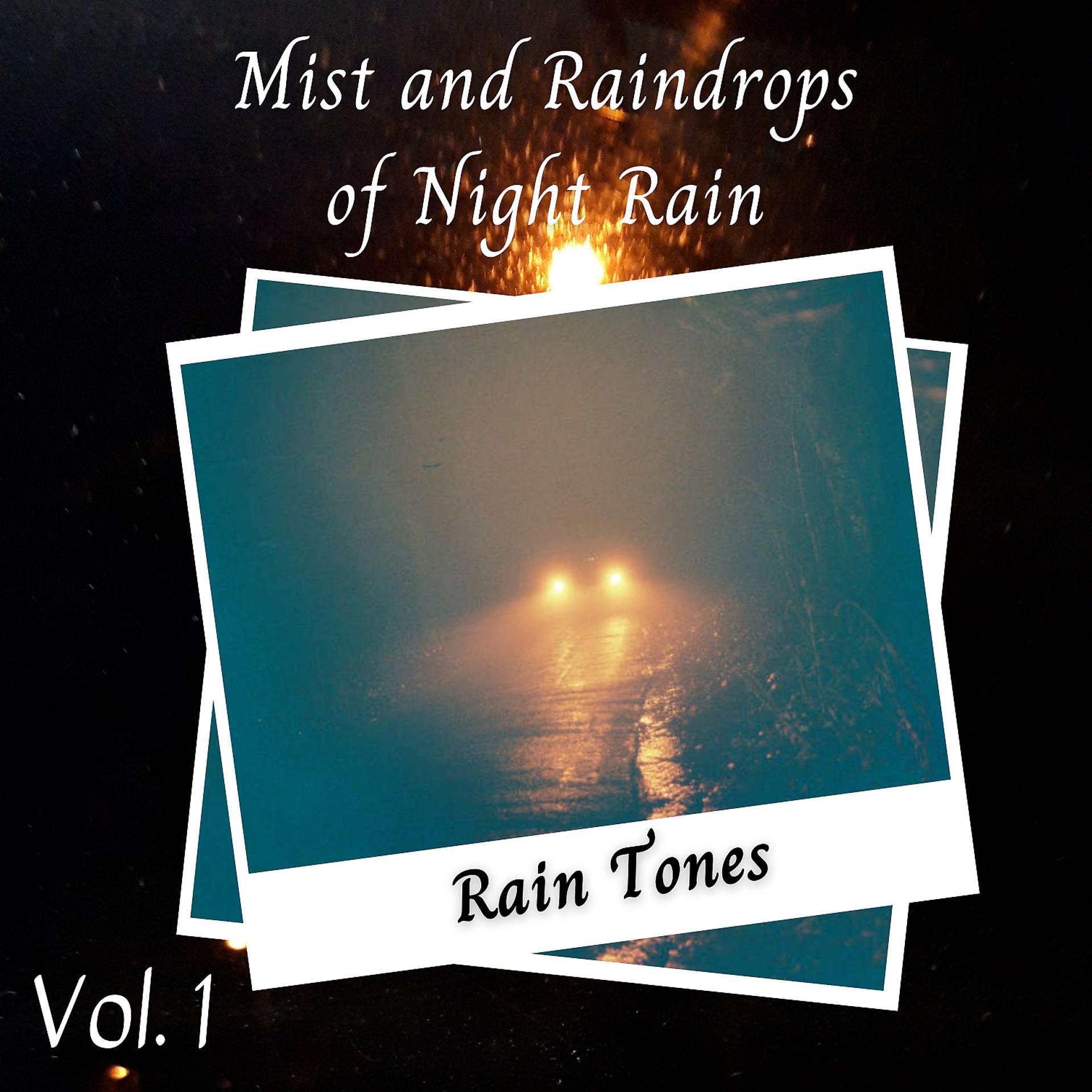 Постер альбома Rain Tones: Mist and Raindrops of Night Rain Vol. 1