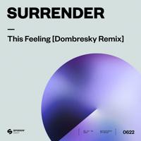 Постер альбома This Feeling (Dombresky Remix)