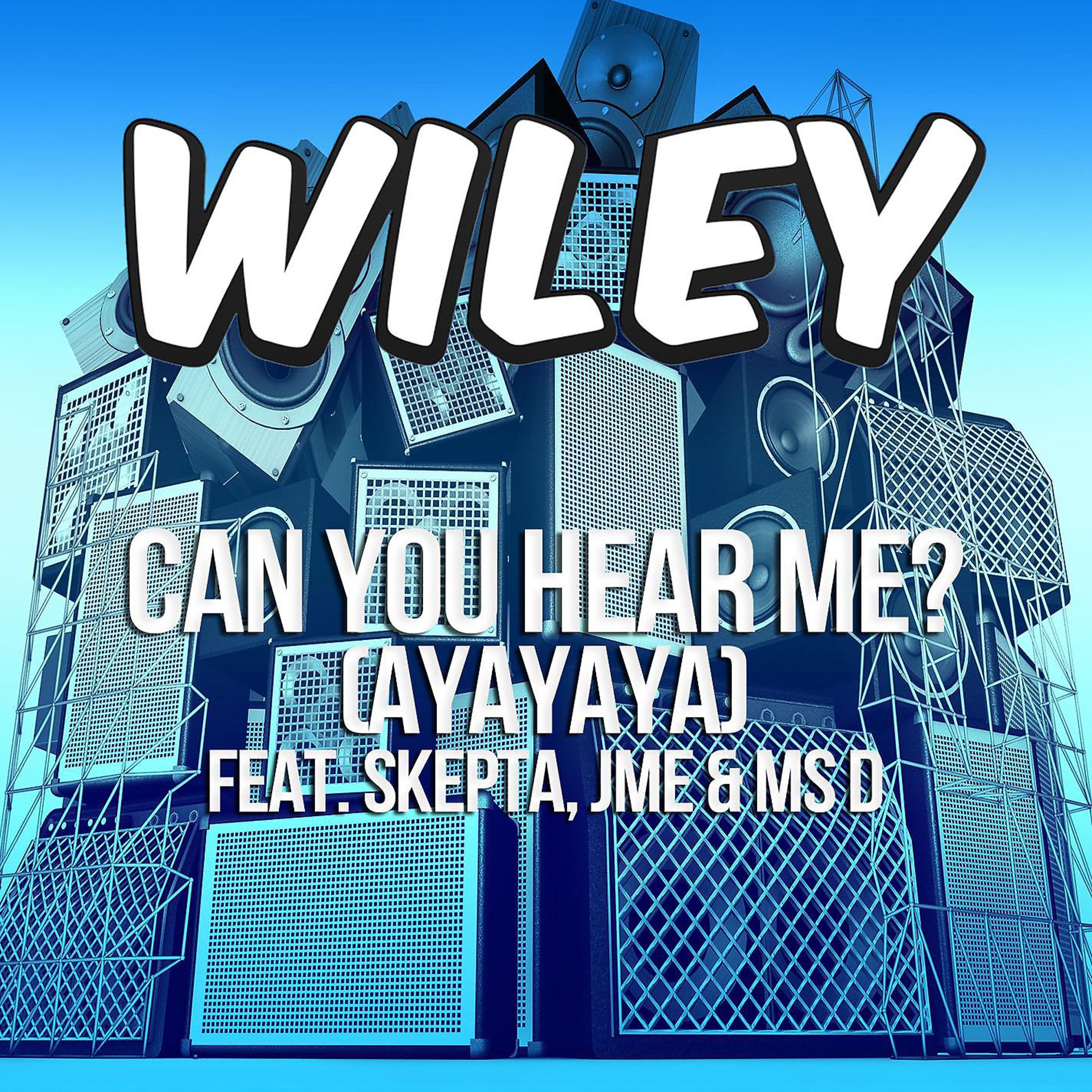 Постер альбома Can You Hear Me? (ayayaya) [feat. Skepta, JME & Ms D]