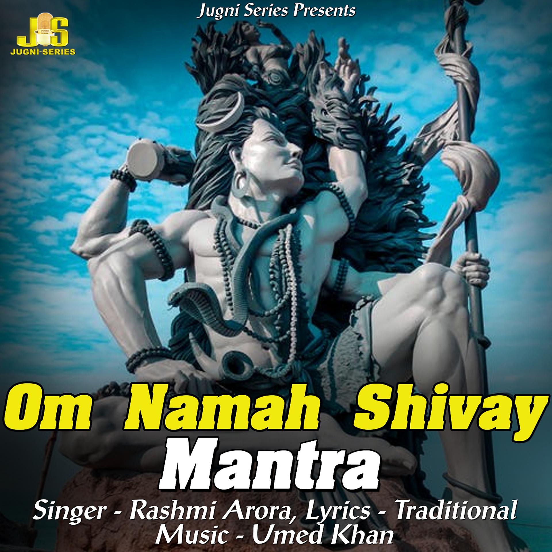 Постер альбома Om Namah Shivay Mantra