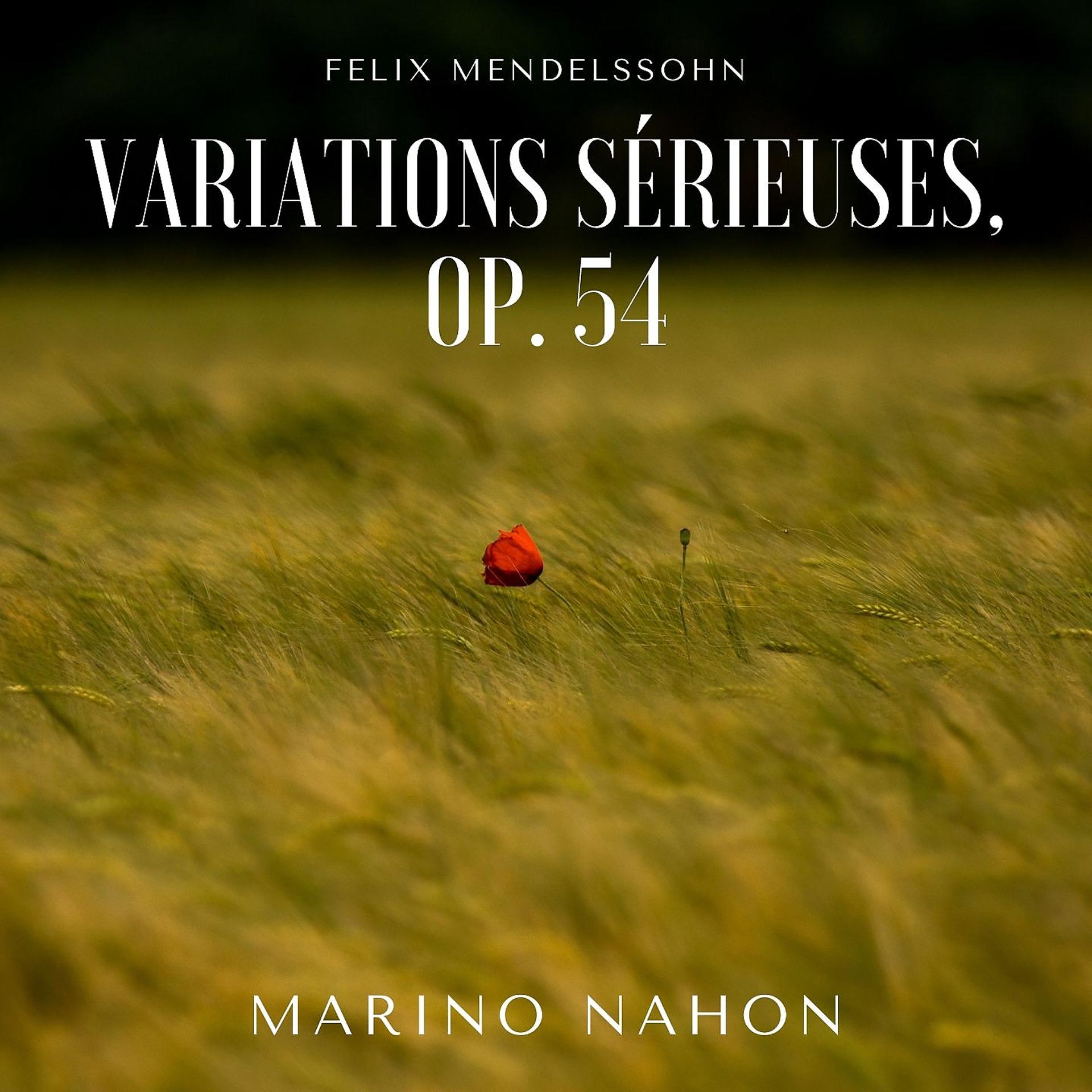Постер альбома Variations sérieuses, Op. 54