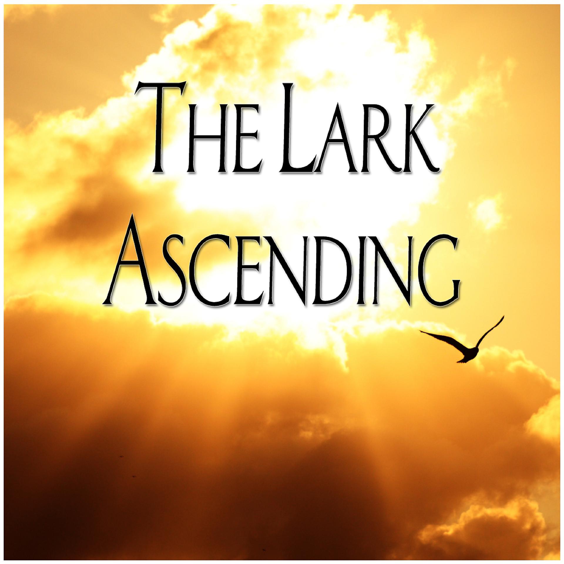 Постер альбома The Lark Ascending